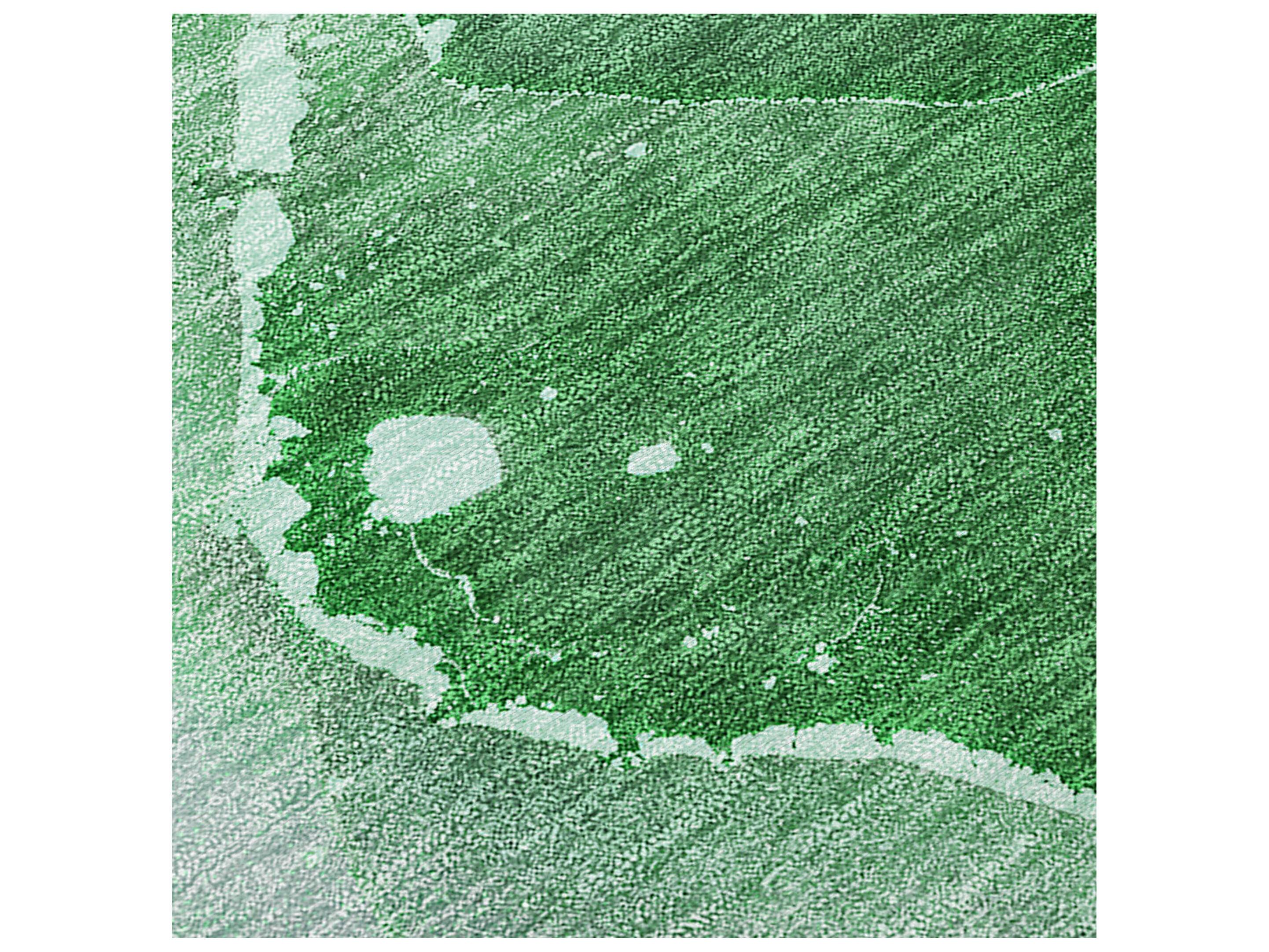 Dalyn Chantille Round Area Rug