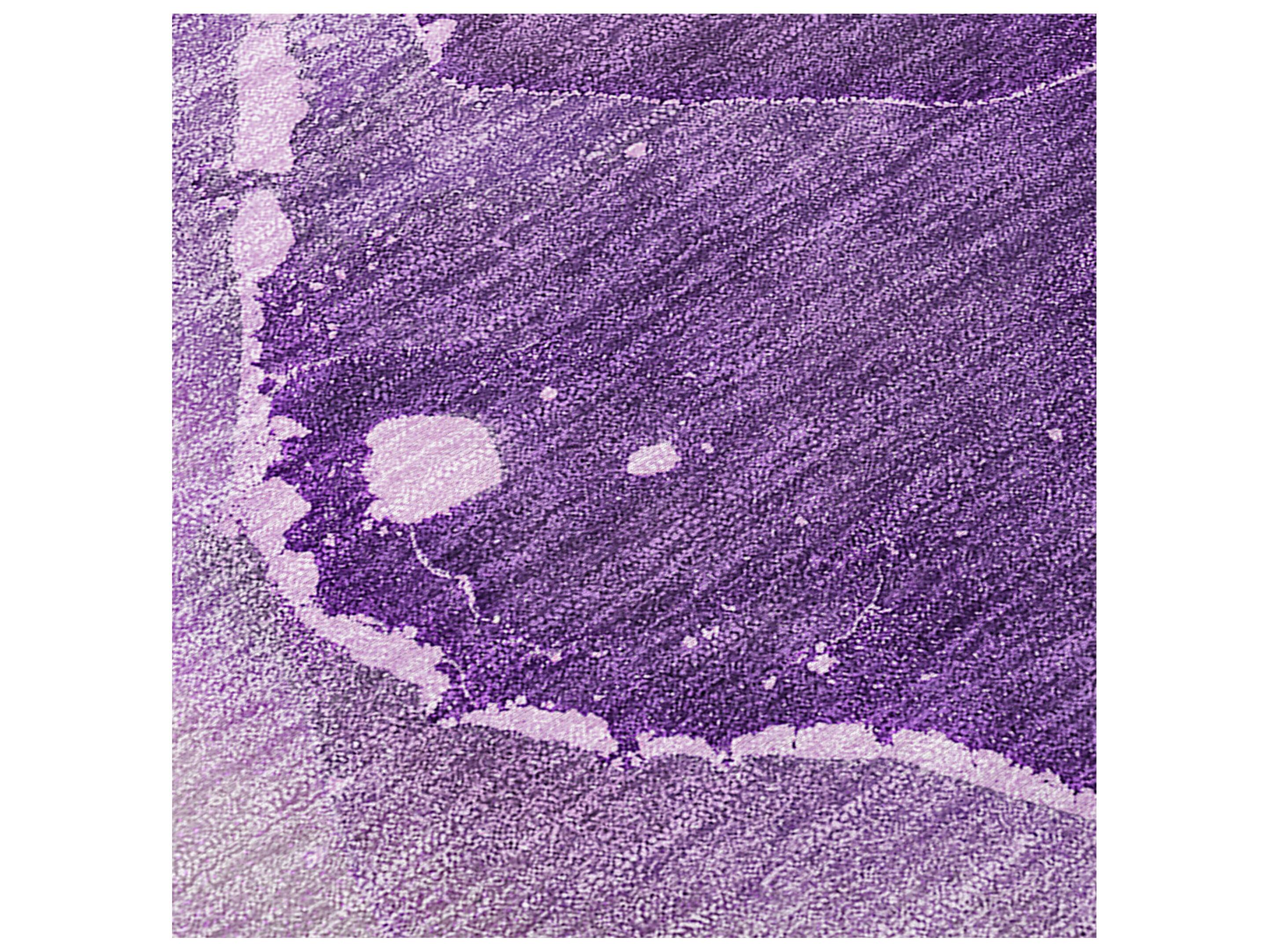 Dalyn Chantille Runner Area Rug