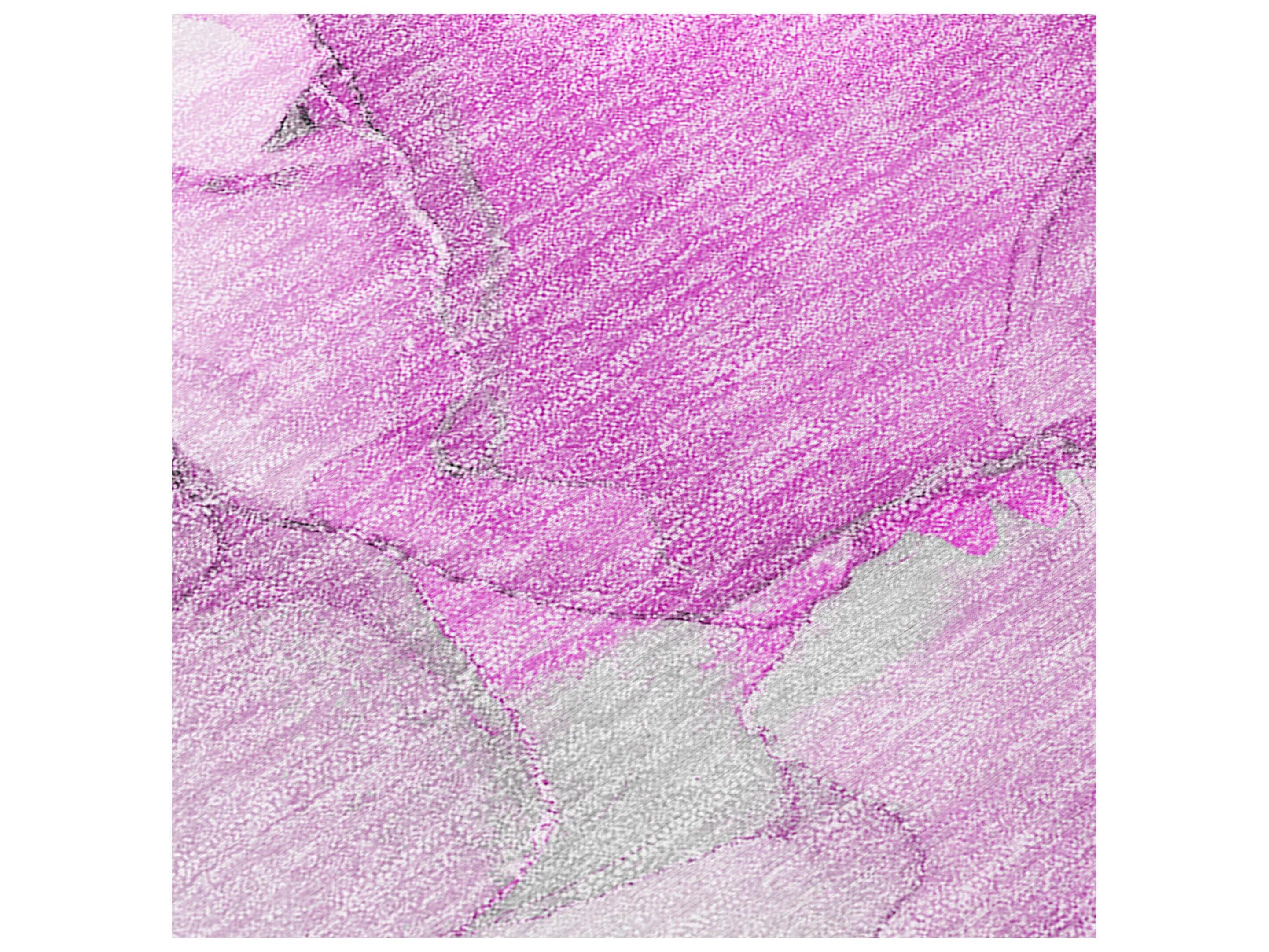 Dalyn Chantille Runner Area Rug