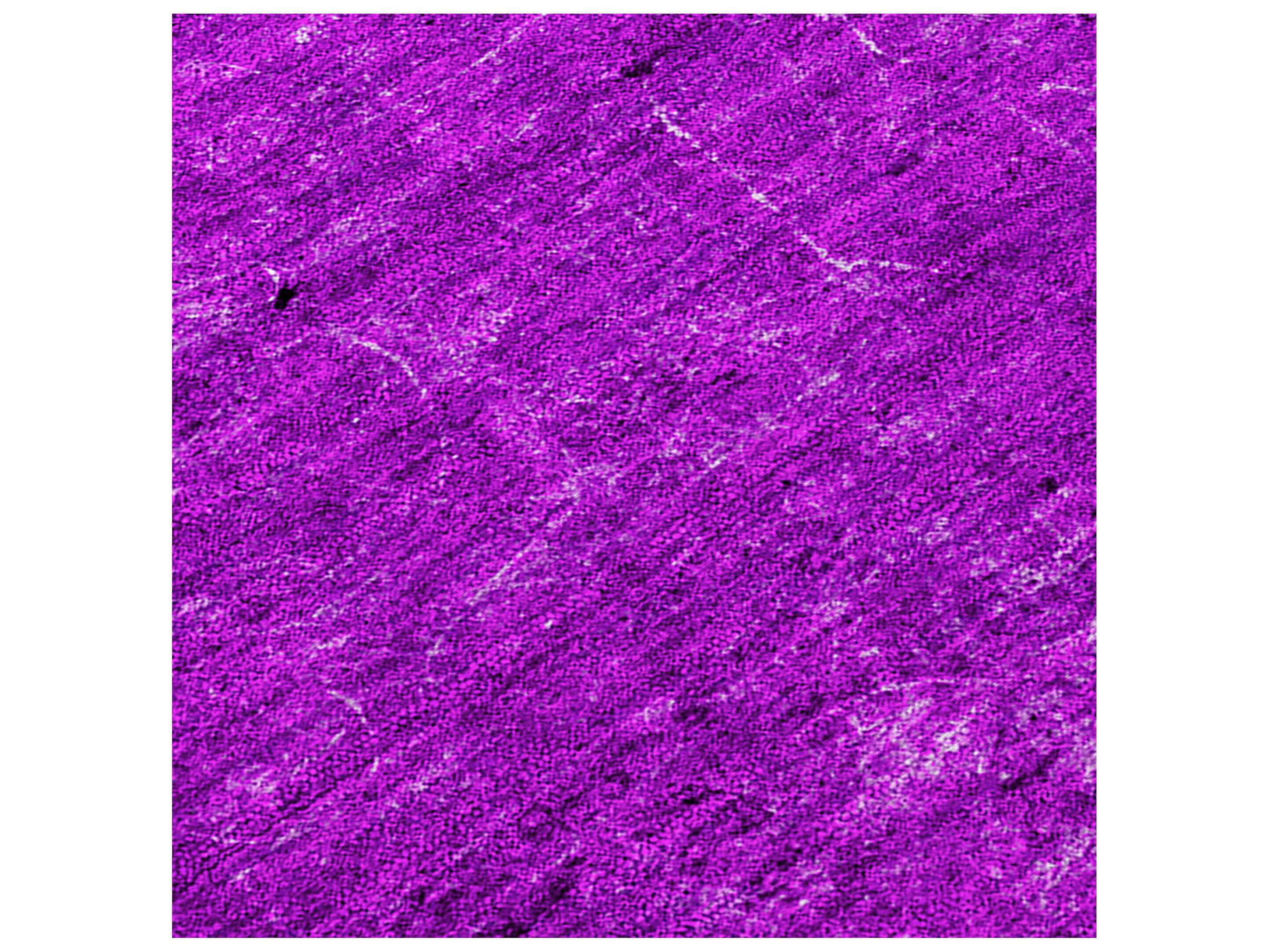 Dalyn Chantille Rectangular Area Rug