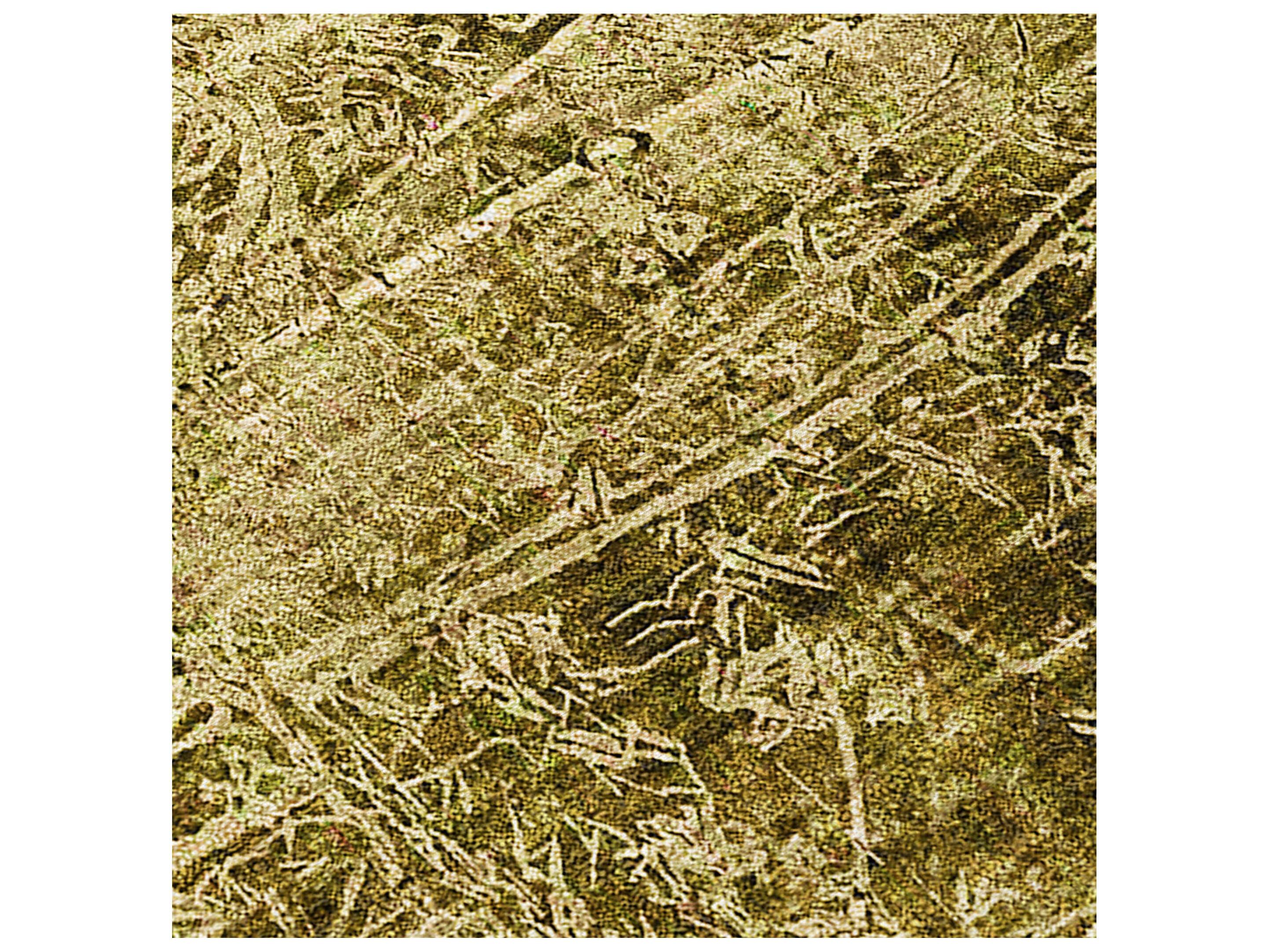 Dalyn Chantille Rectangular Area Rug