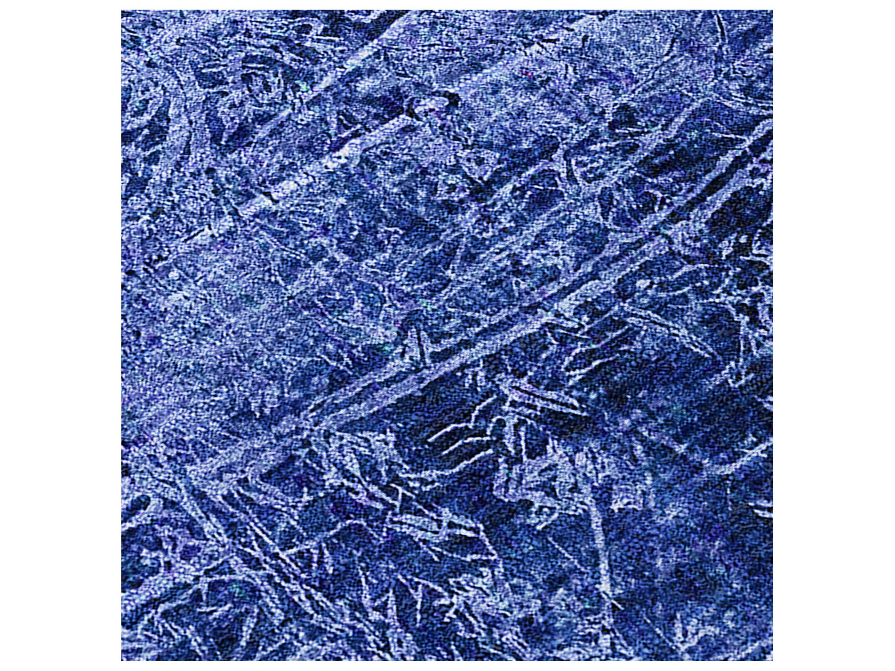 Dalyn Chantille Rectangular Area Rug