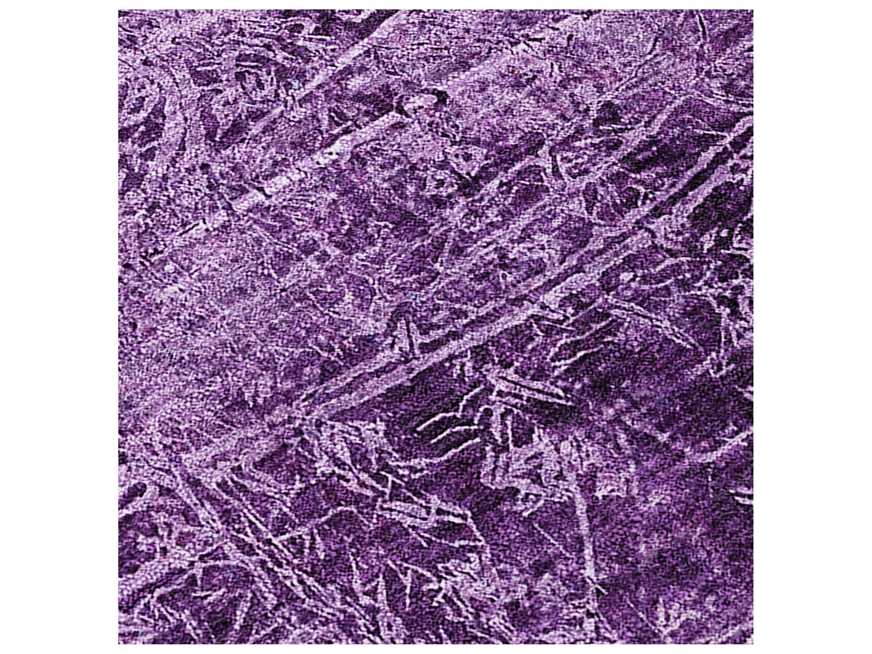 Dalyn Chantille Rectangular Area Rug