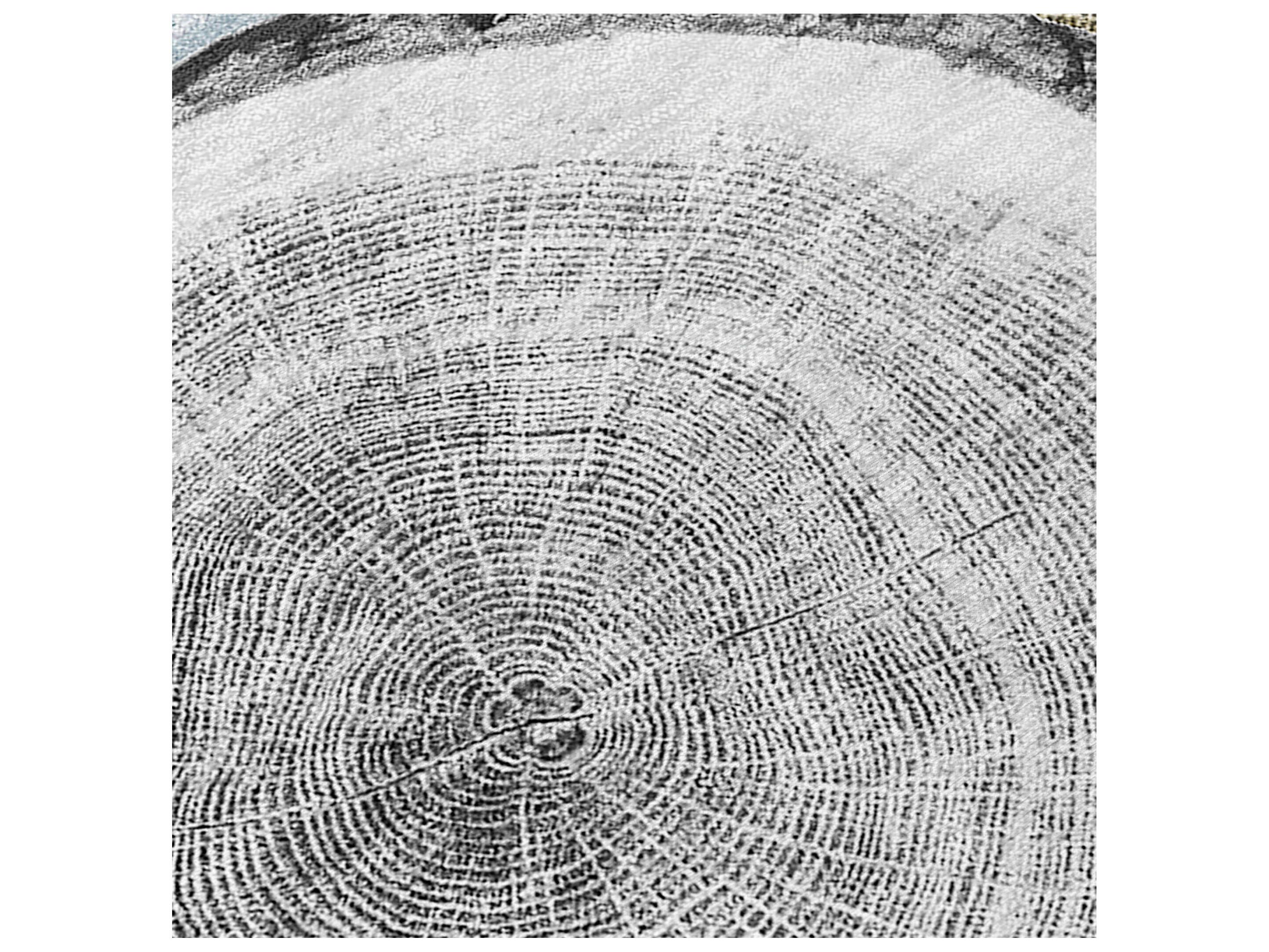 Dalyn Chantille Round Area Rug