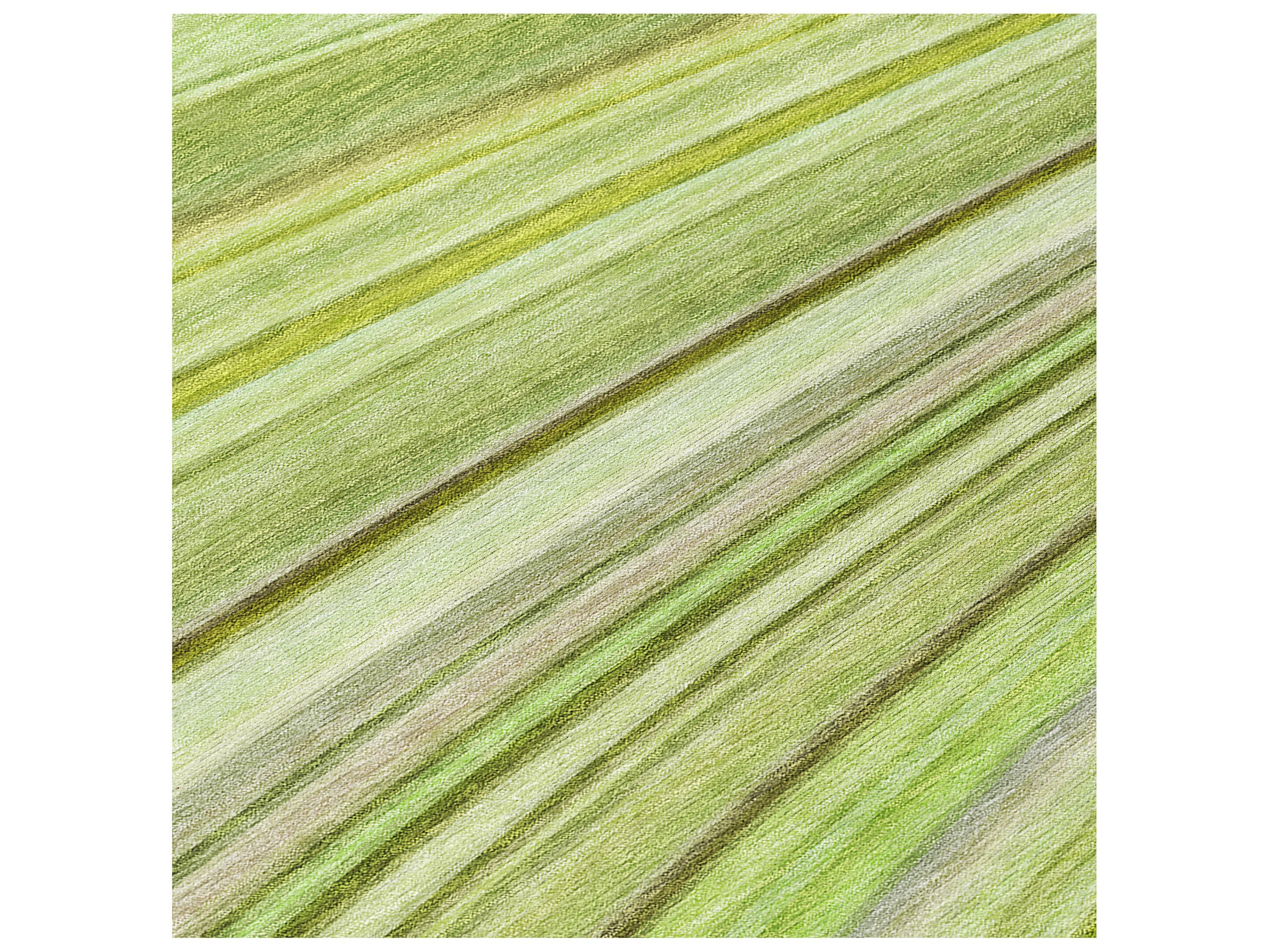 Dalyn Chantille Runner Area Rug