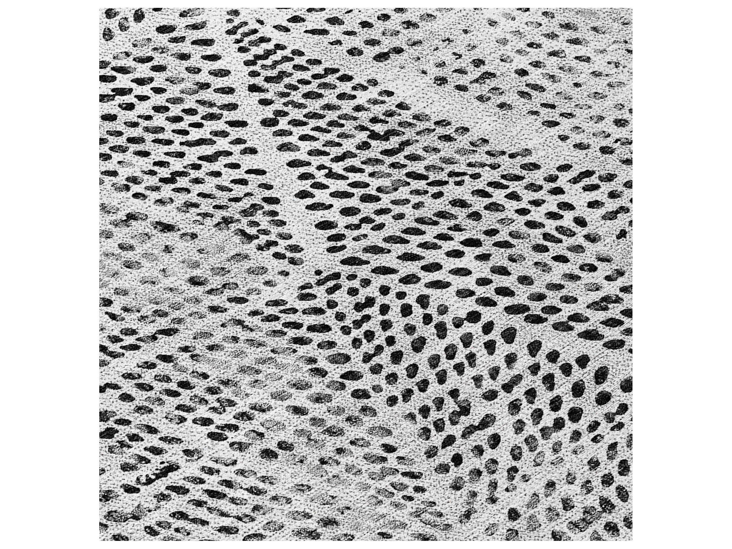 Dalyn Chantille Rectangular Area Rug