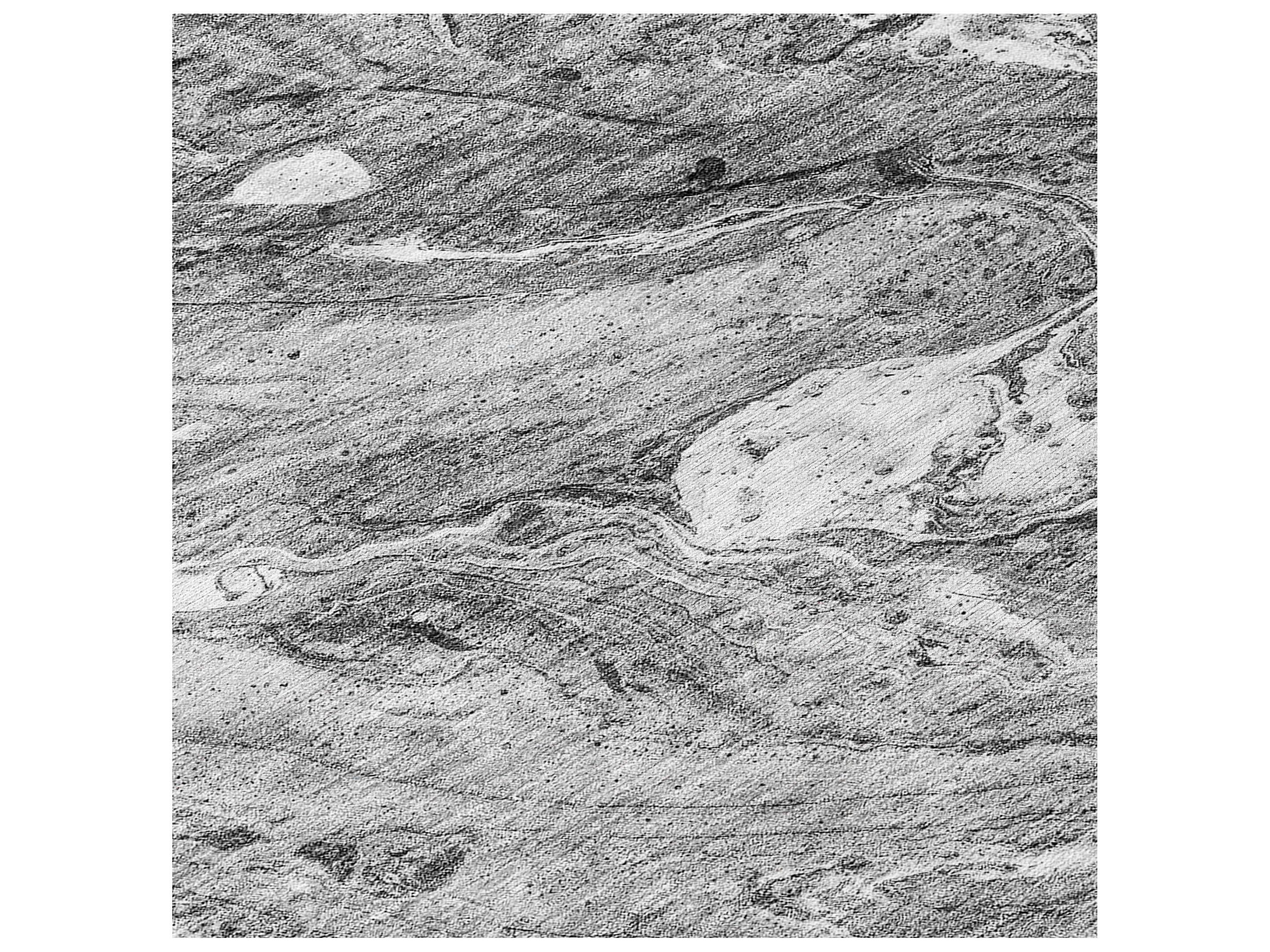 Dalyn Chantille Rectangular Area Rug