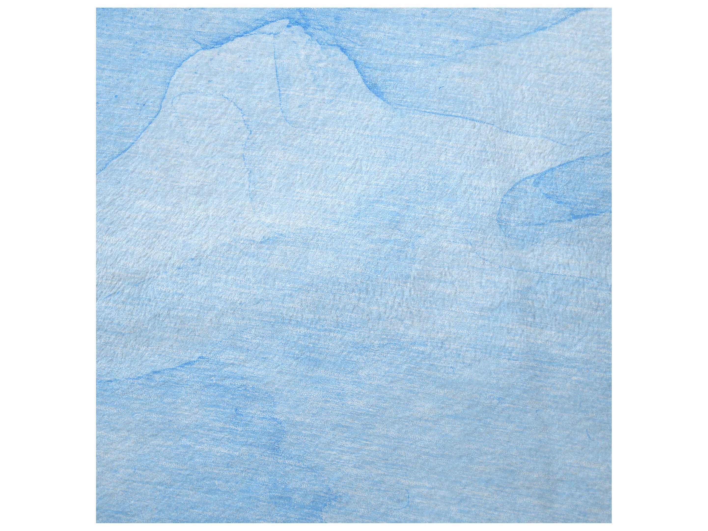 Dalyn Sherpa Blue Polyester Throw
