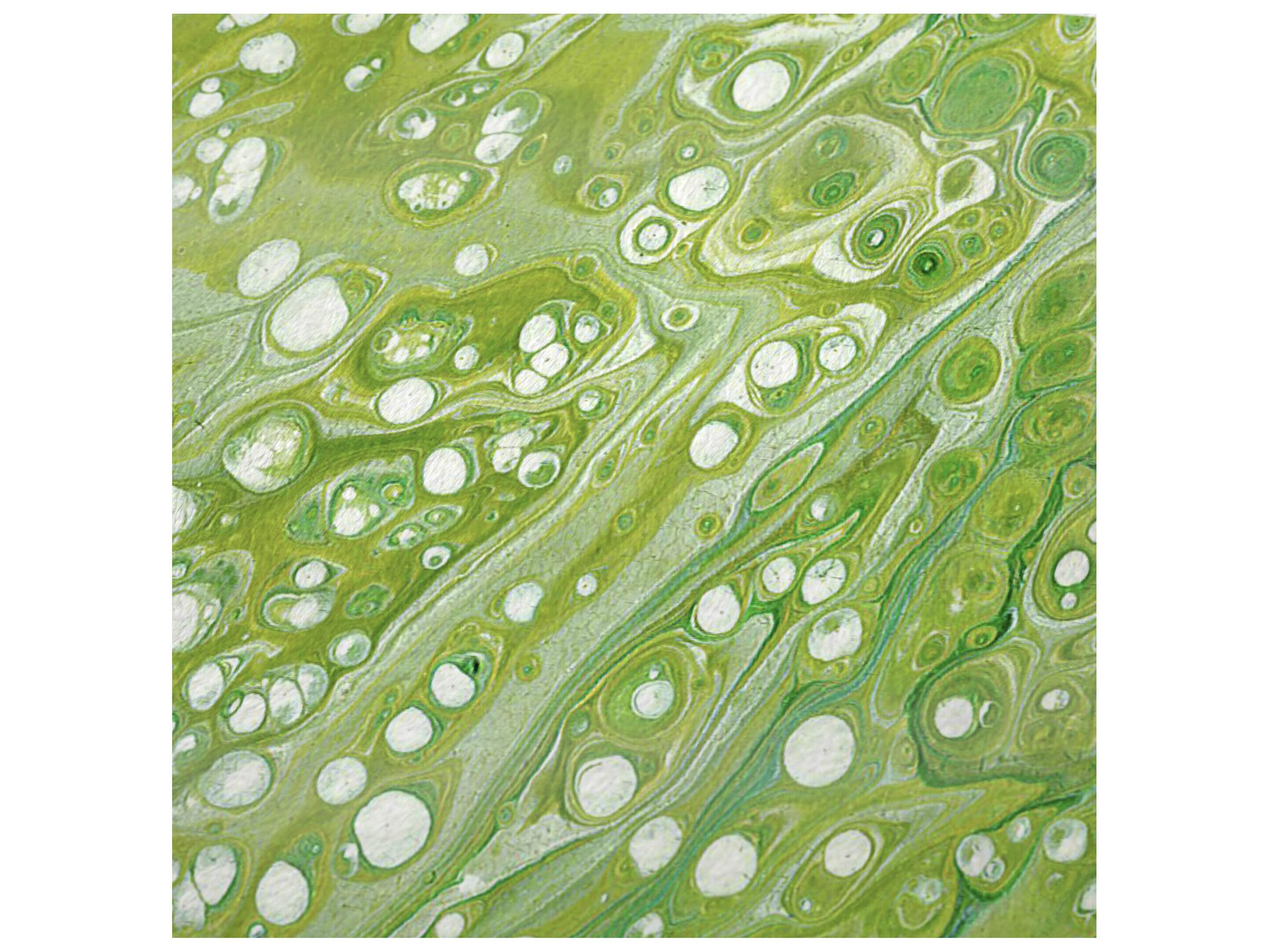 Dalyn Sherpa Green Polyester Throw