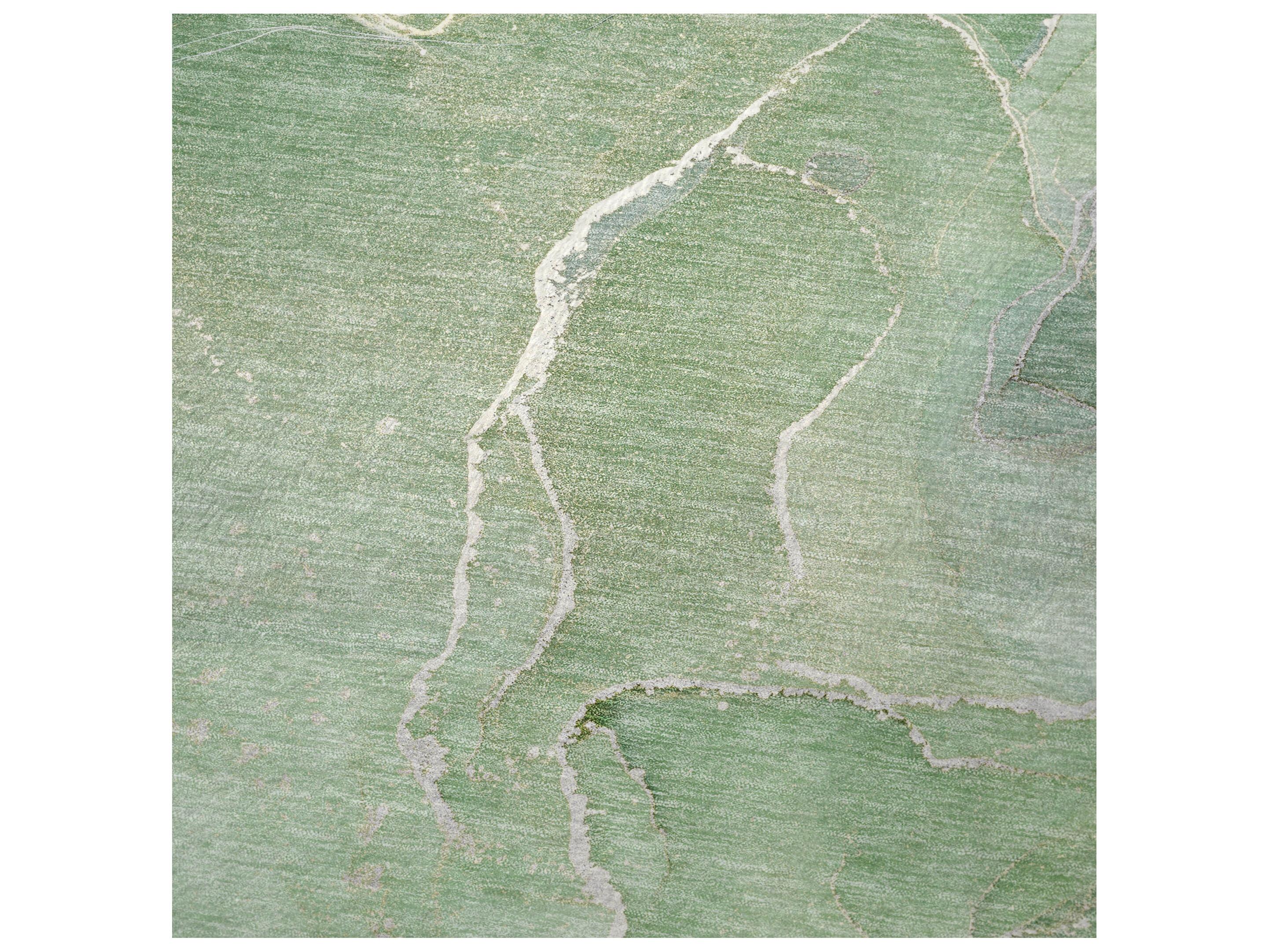 Dalyn Sherpa Green Polyester Throw