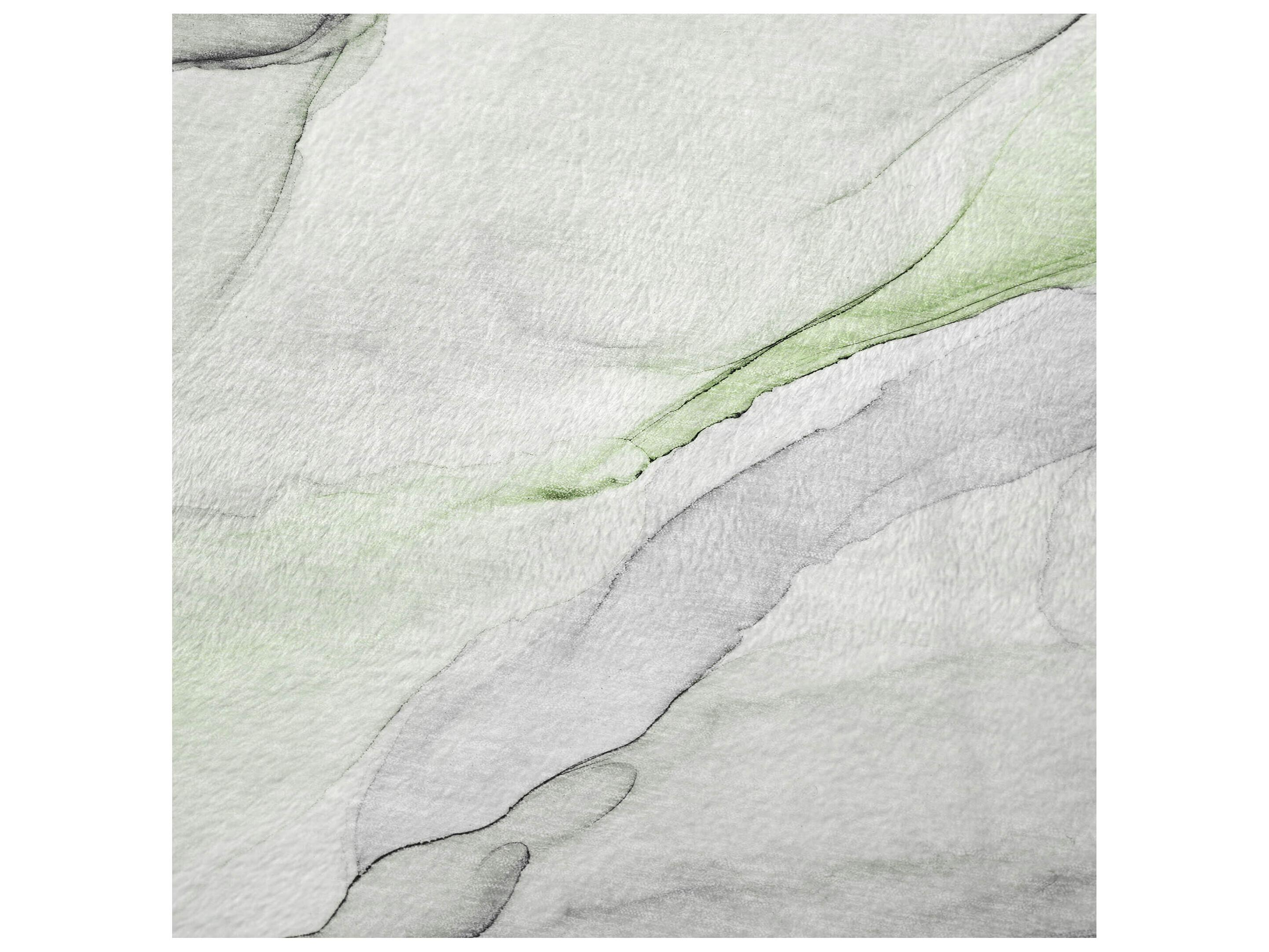 Dalyn Sherpa Green Polyester Throw
