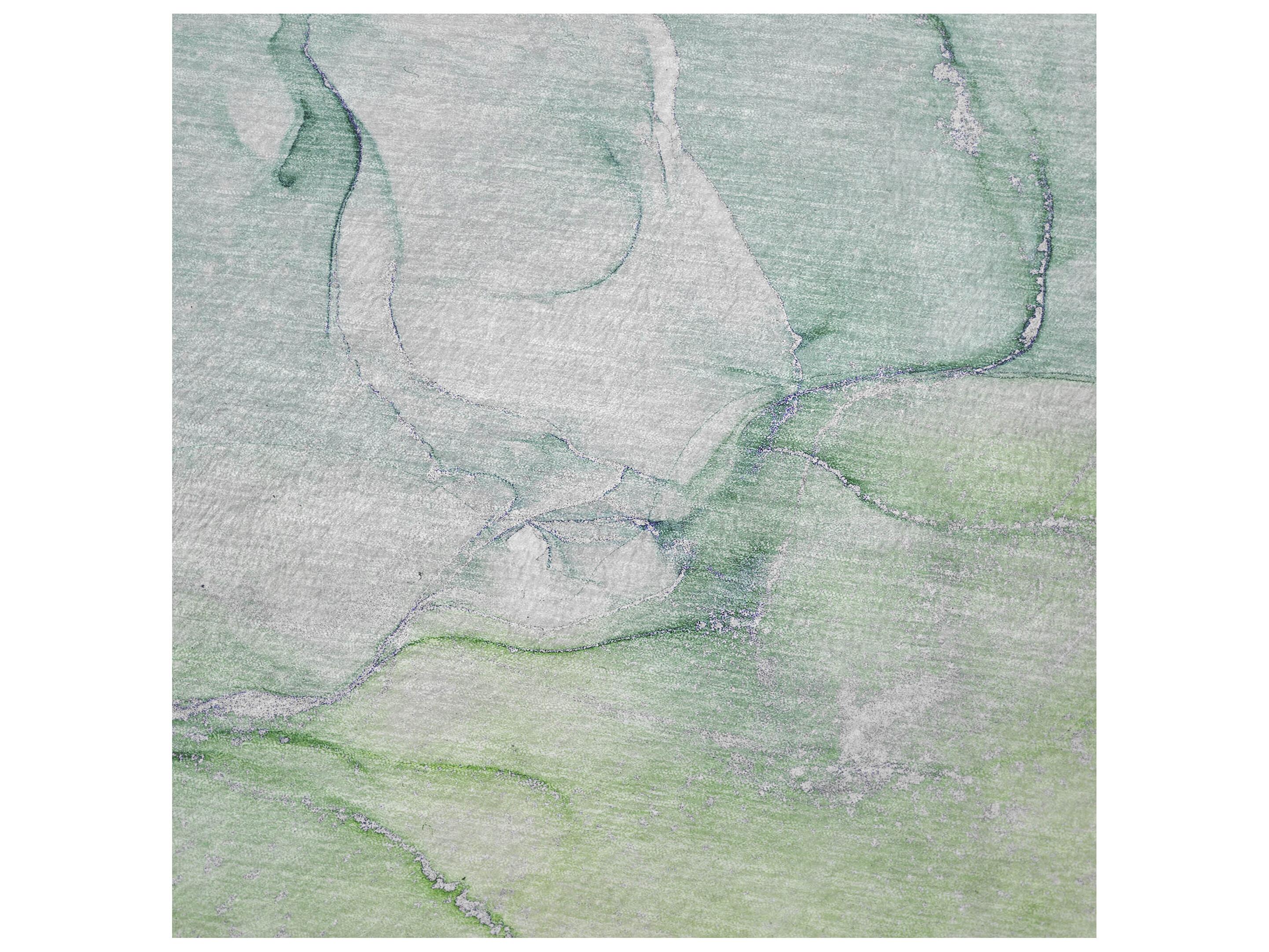 Dalyn Sherpa Green Polyester Throw