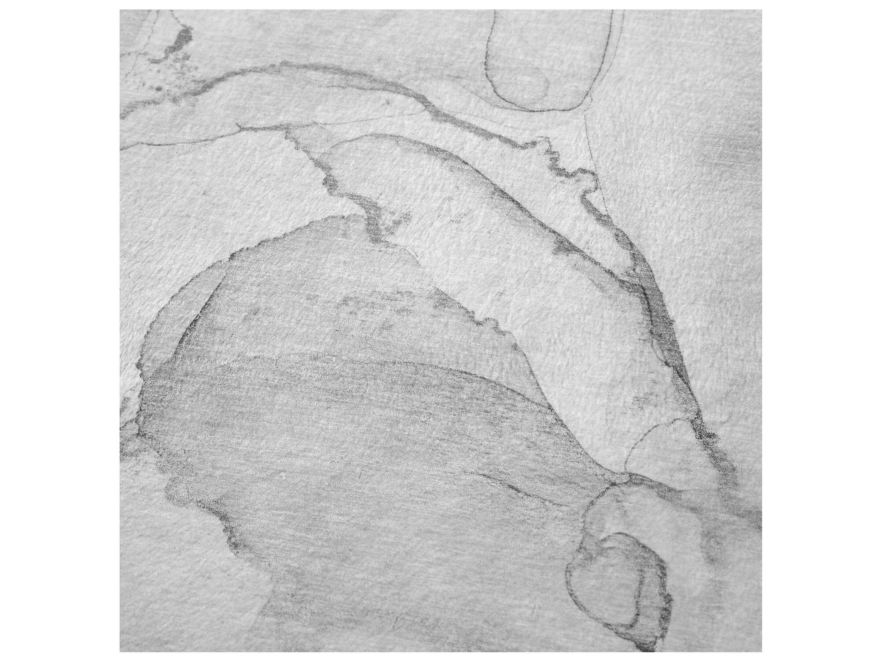 Dalyn Sherpa Gray Polyester Throw