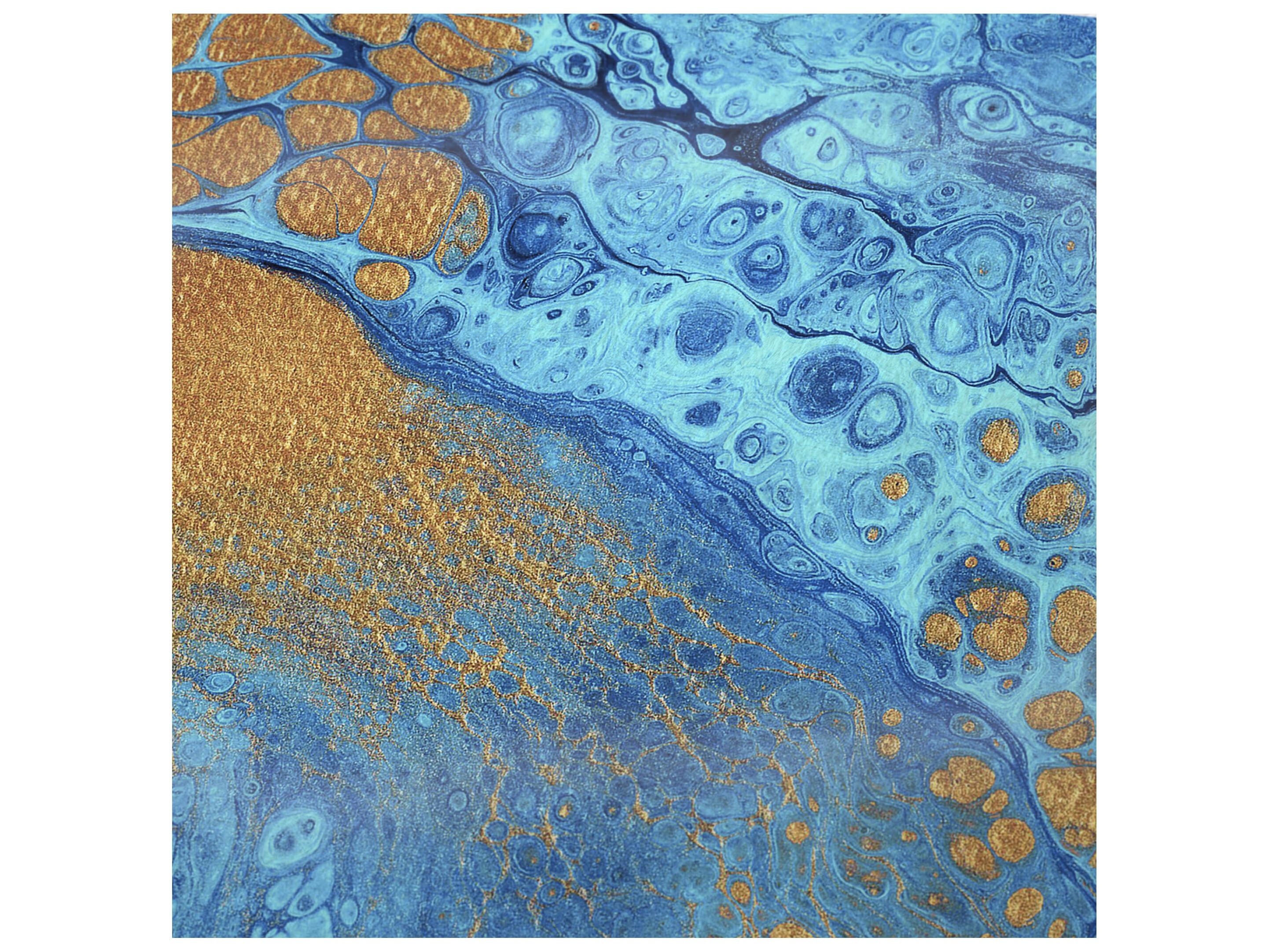 Dalyn Sherpa Blue Polyester Throw