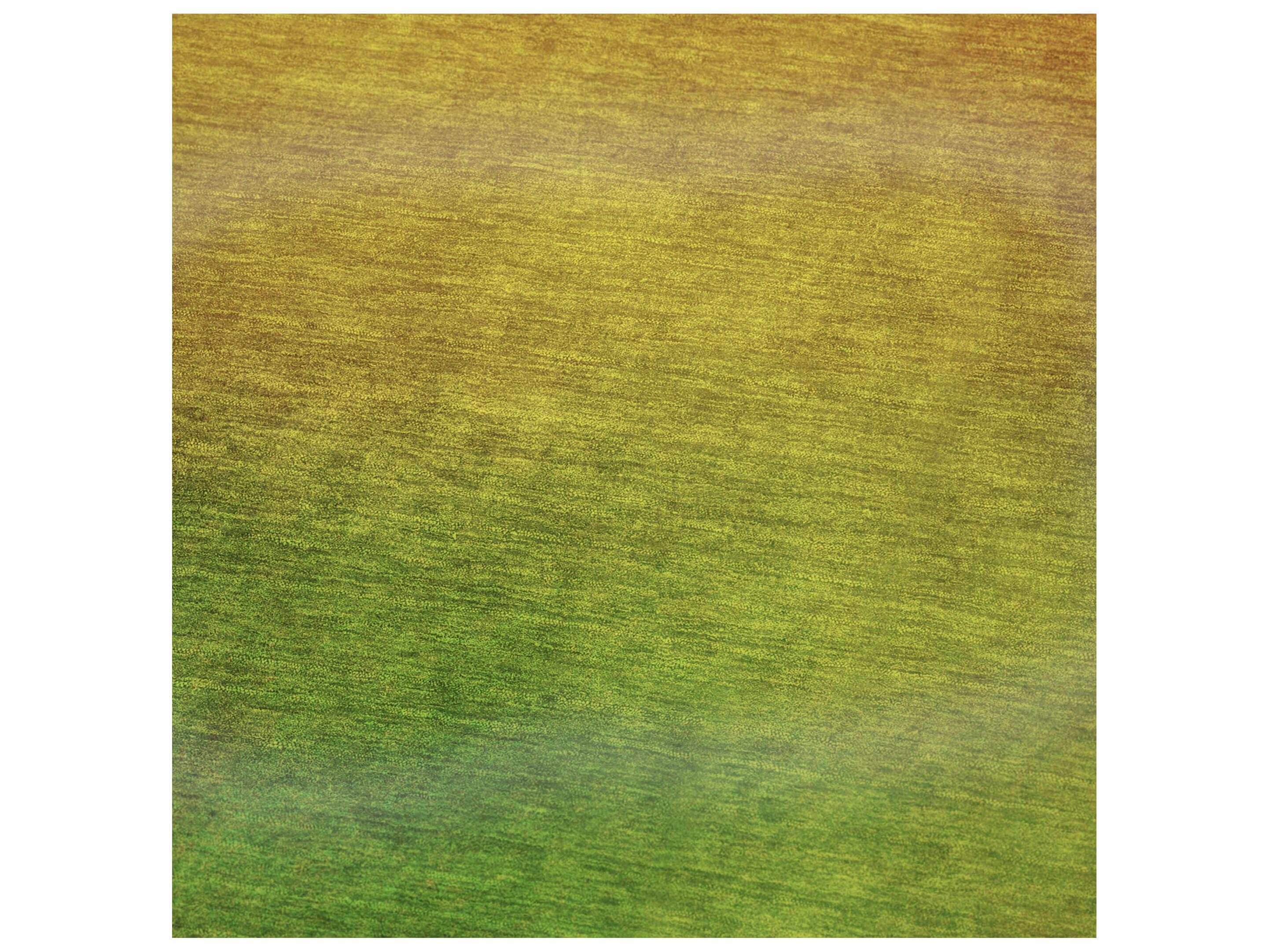 Dalyn Sherpa Orange Polyester Throw