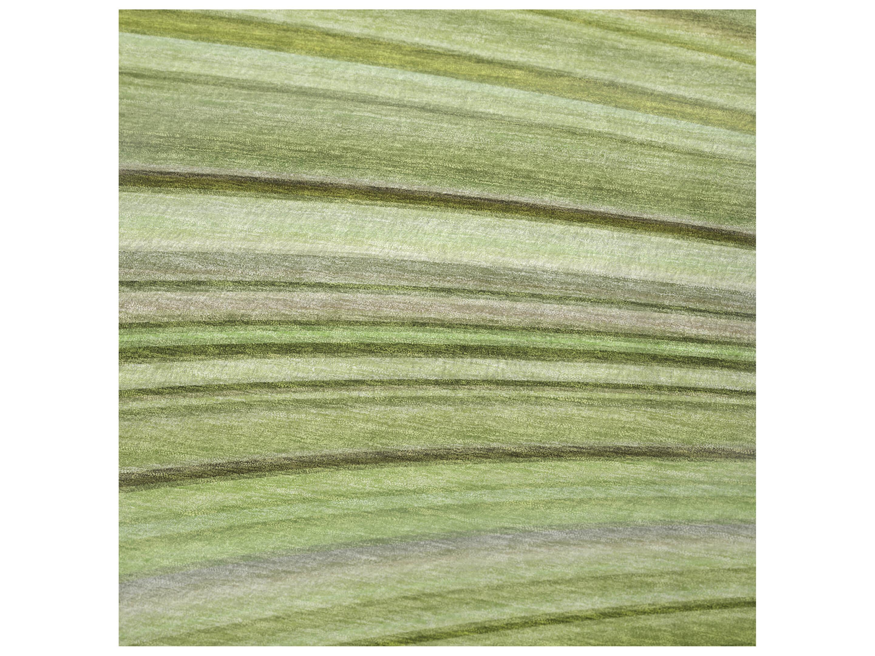 Dalyn Sherpa Green Polyester Throw