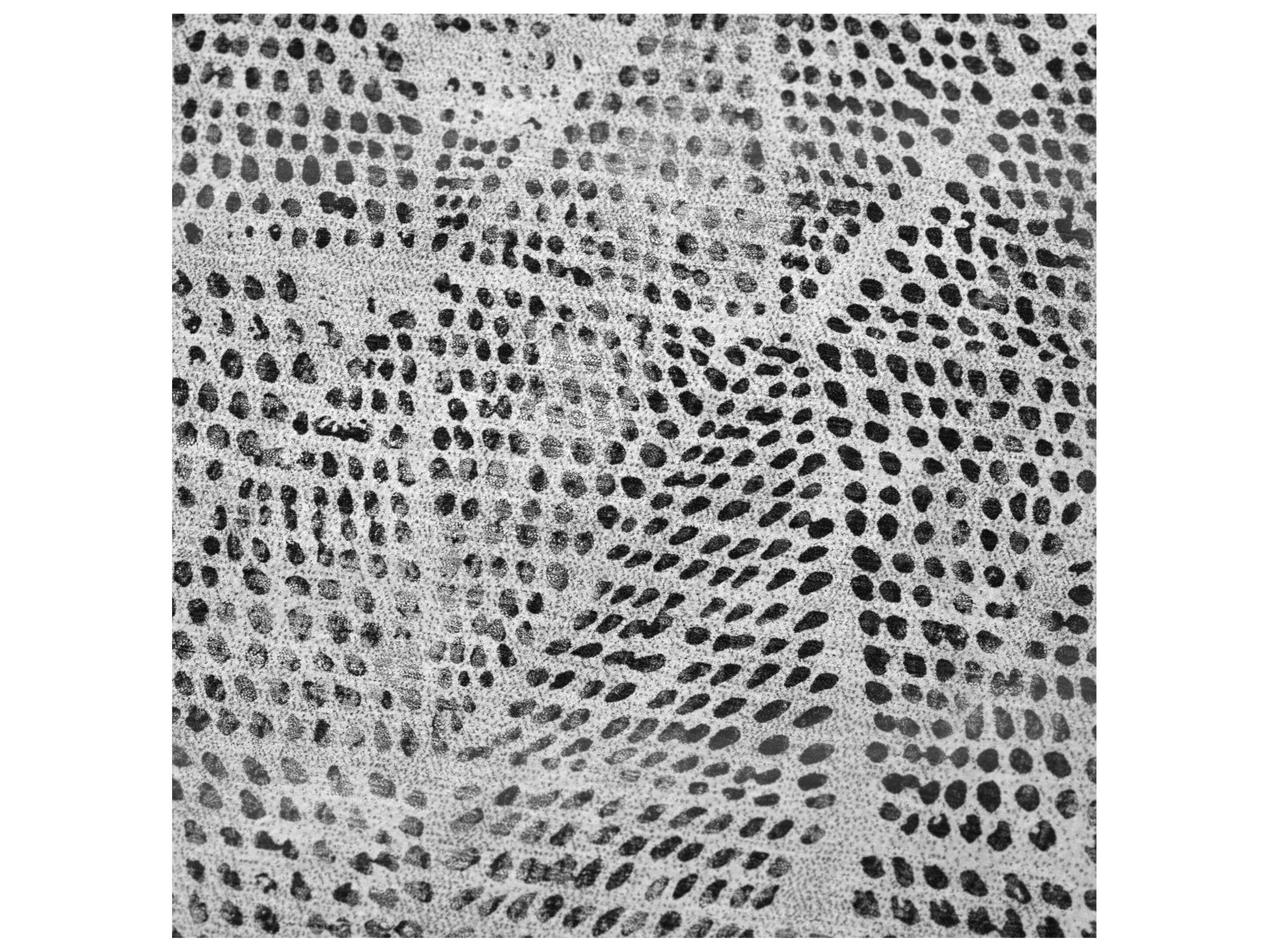 Dalyn Sherpa Gray Polyester Throw