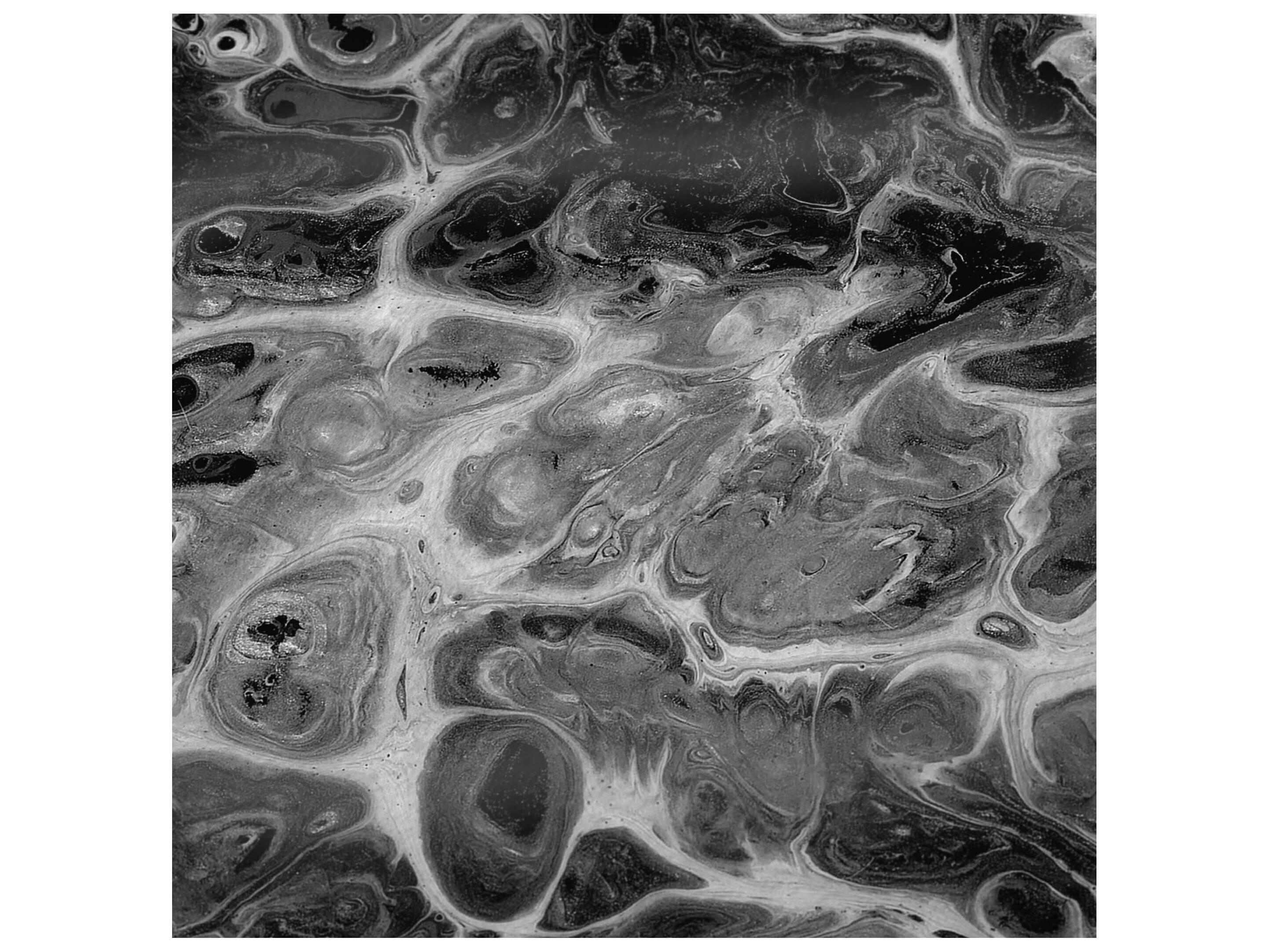 Dalyn Sherpa Black Polyester Throw