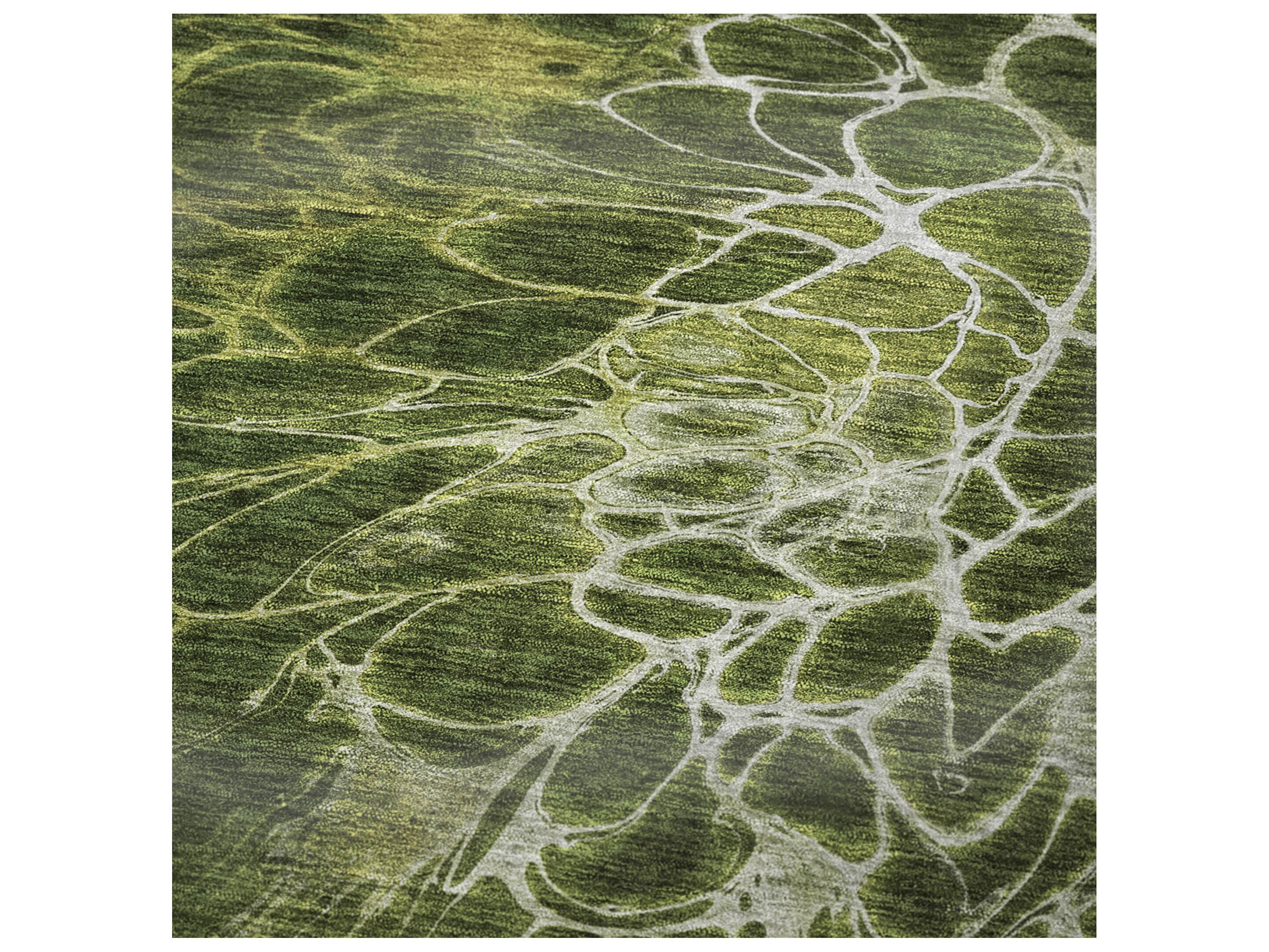 Dalyn Sherpa Green Polyester Throw