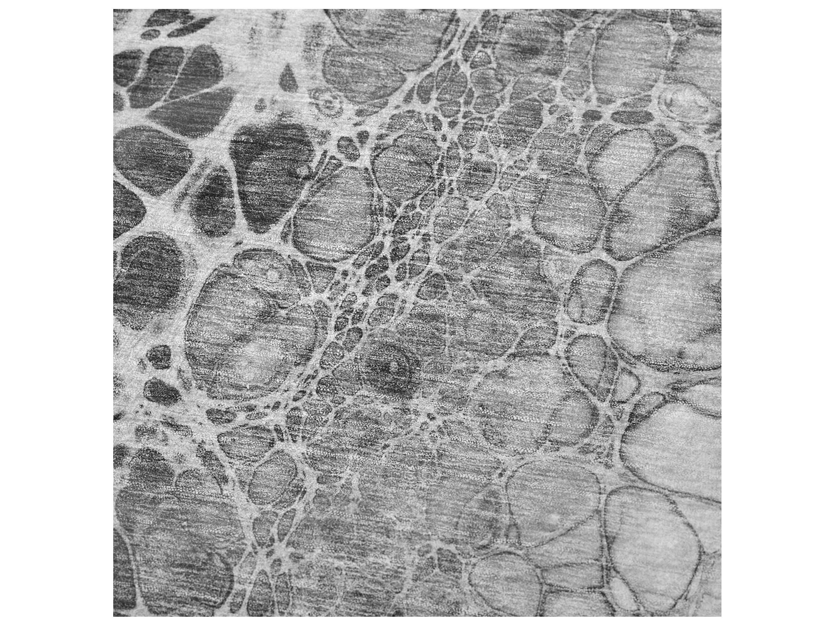 Dalyn Sherpa Gray Polyester Throw