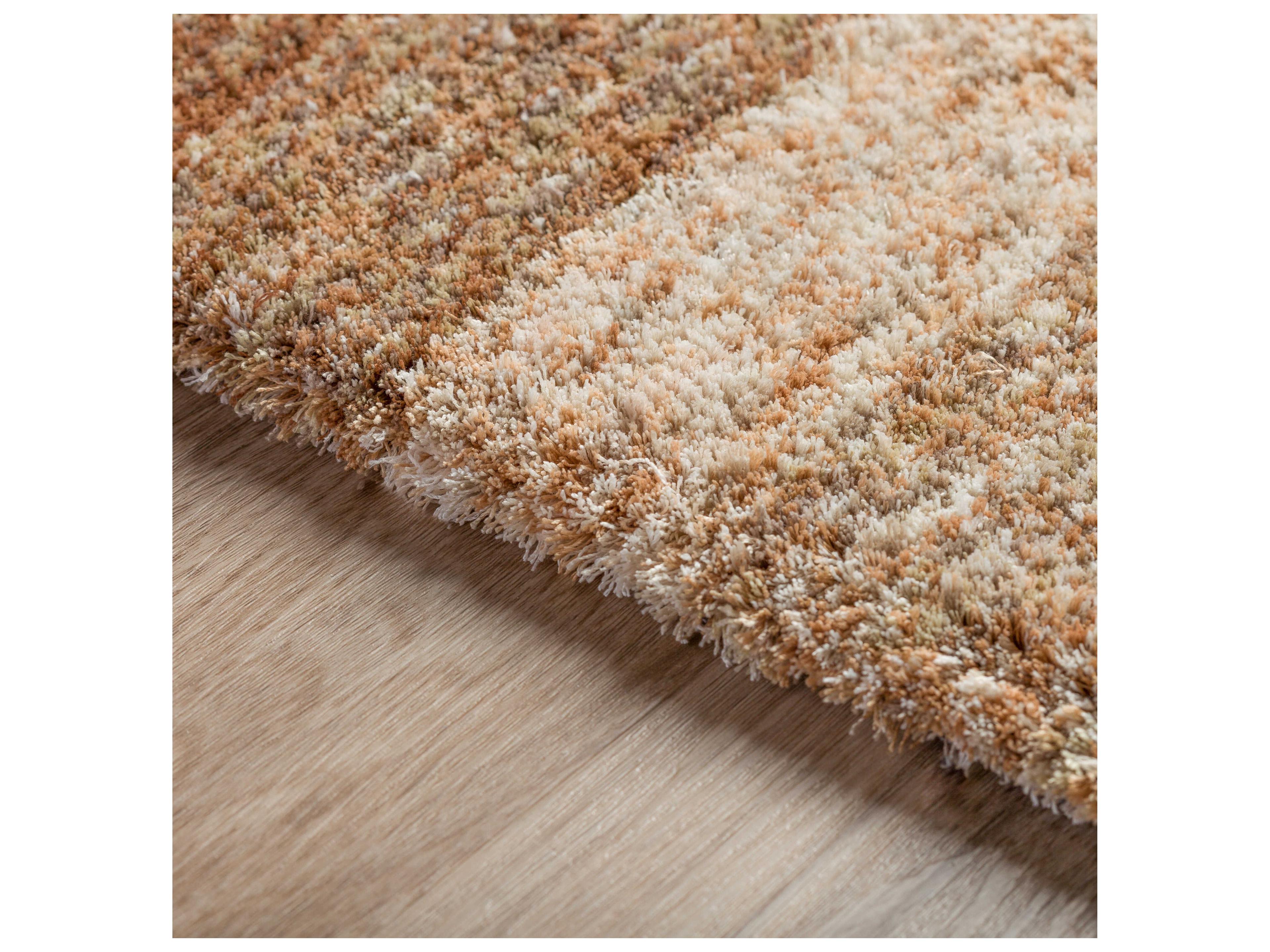 Dalyn Sanibel Shag Striped Area Rug