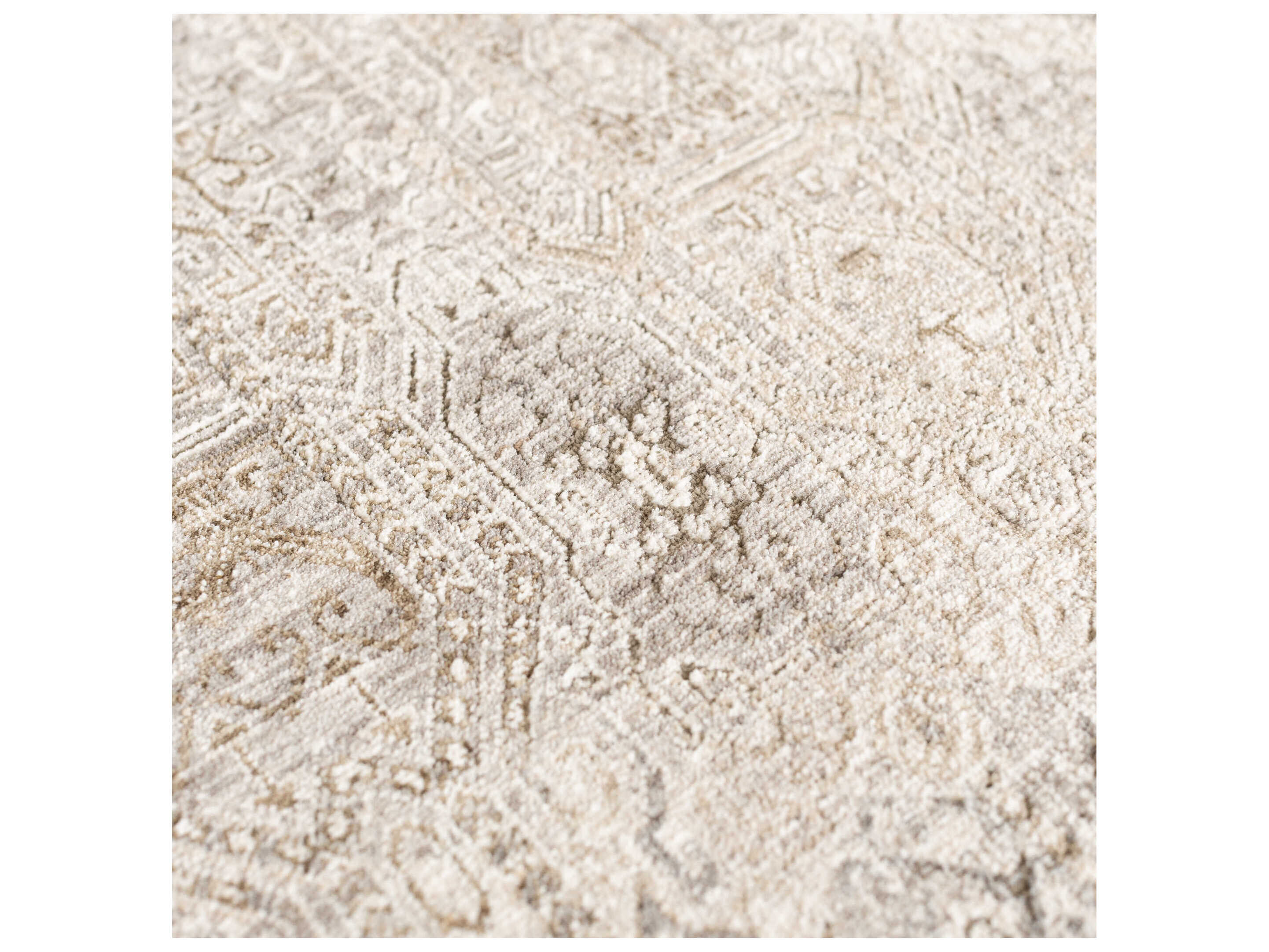 Dalyn Cyprus Bordered Area Rug