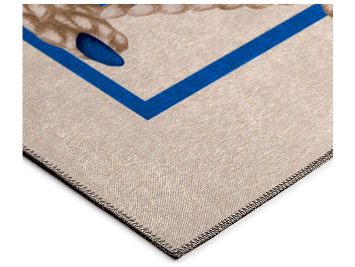 Dalyn Harbor Graphic Runner Area Rug