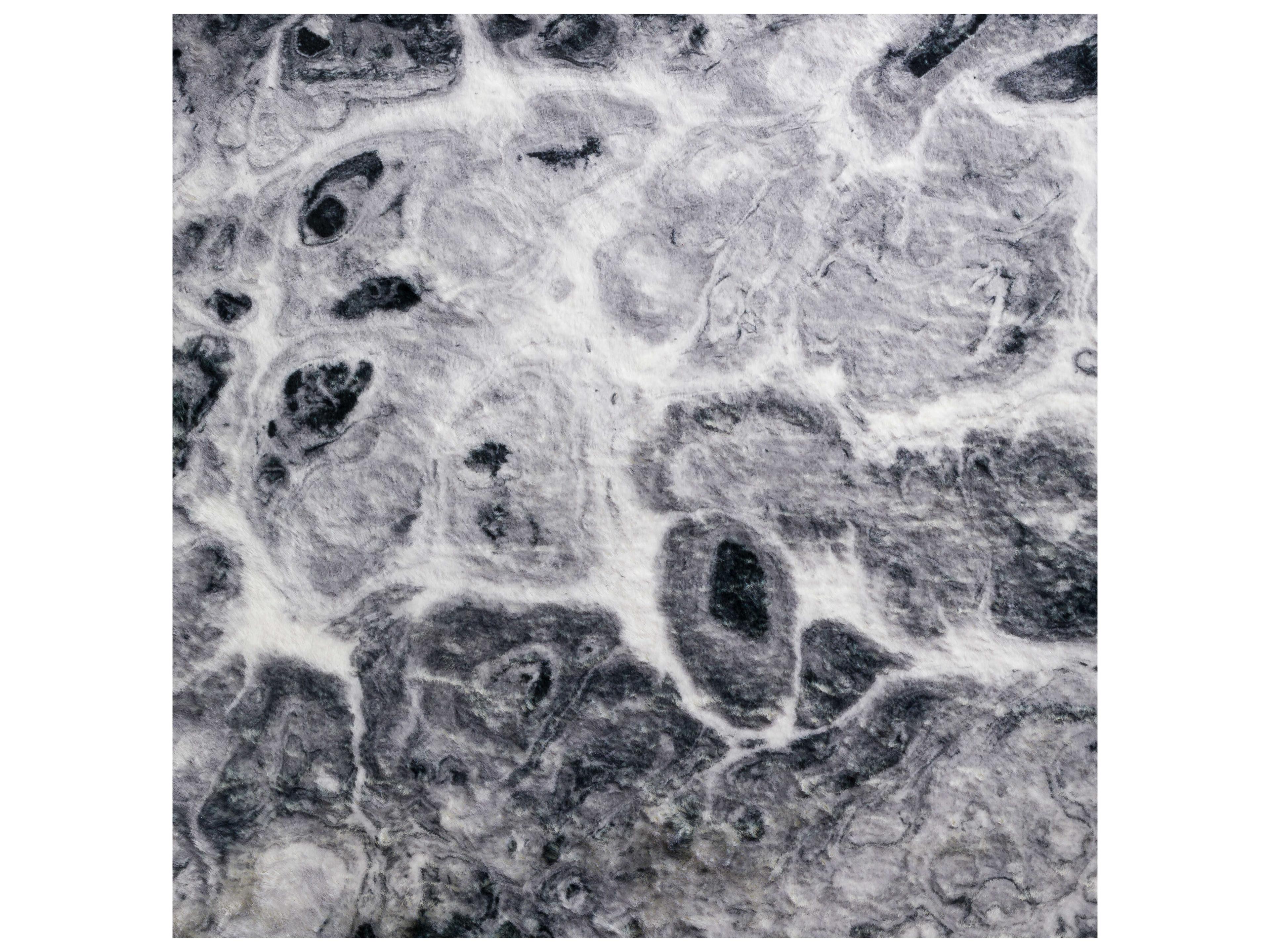 Dalyn Kikiamo Abstract Area Rug