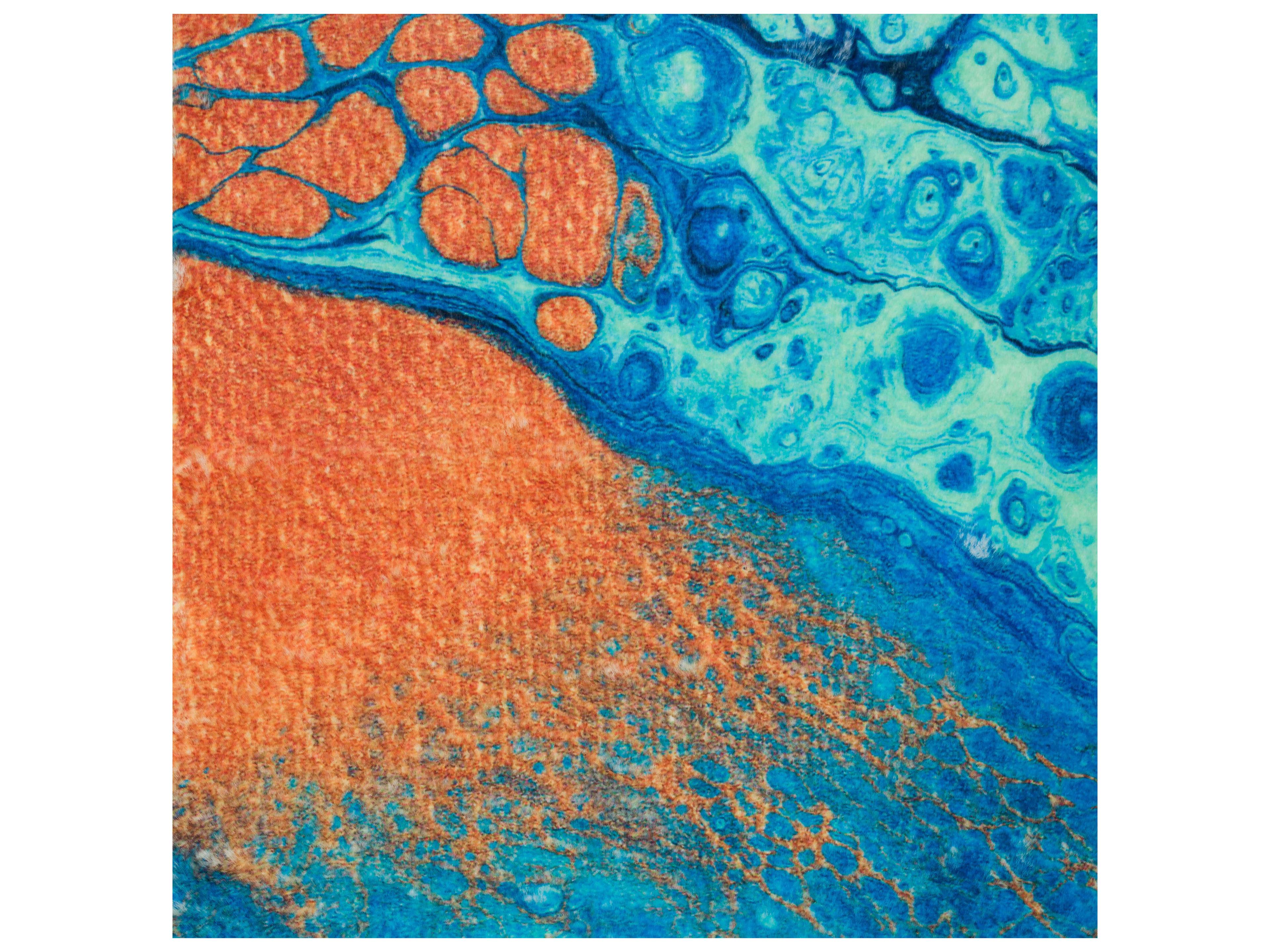 Dalyn Kikiamo Abstract Area Rug