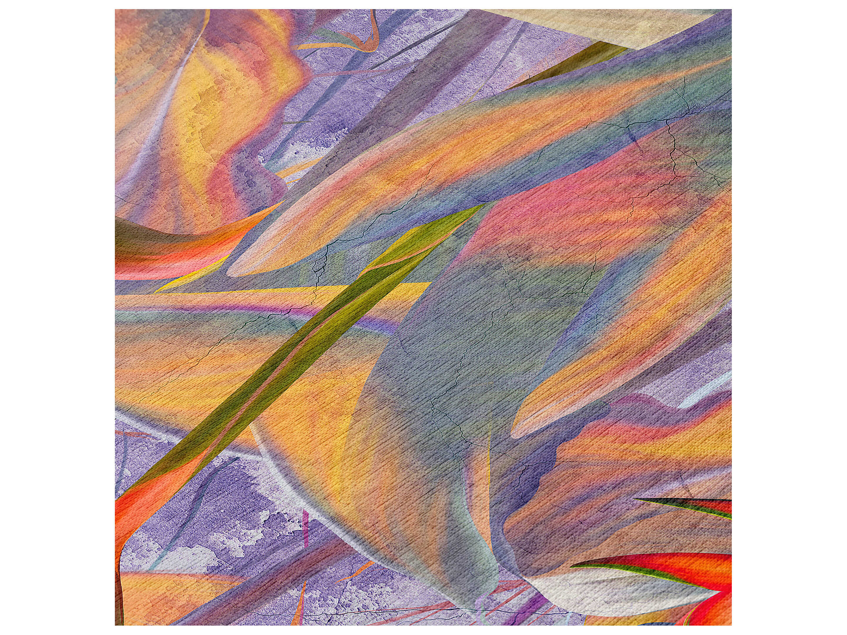 Dalyn Tropics Graphic Area Rug