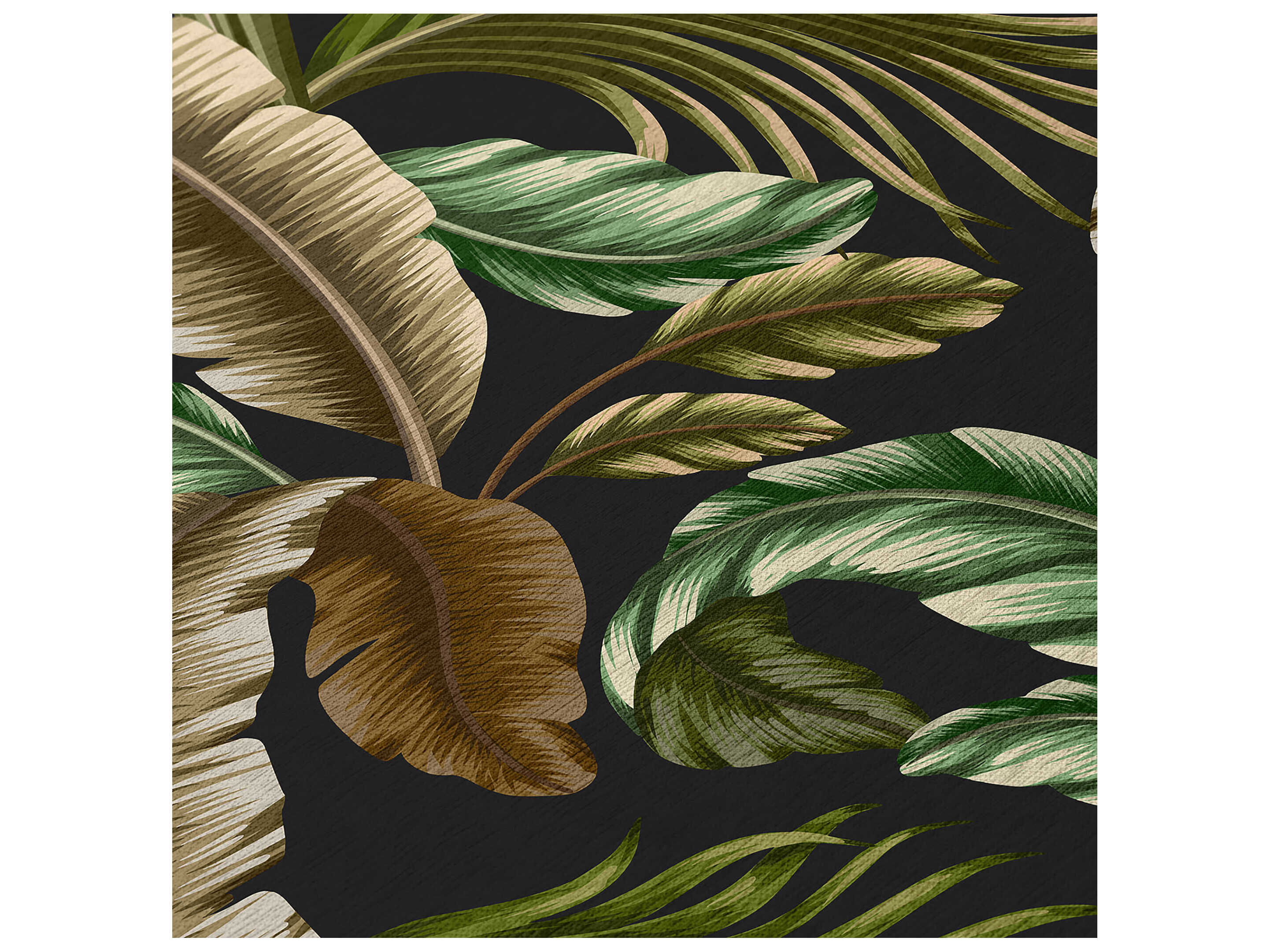 Dalyn Tropics Graphic Area Rug