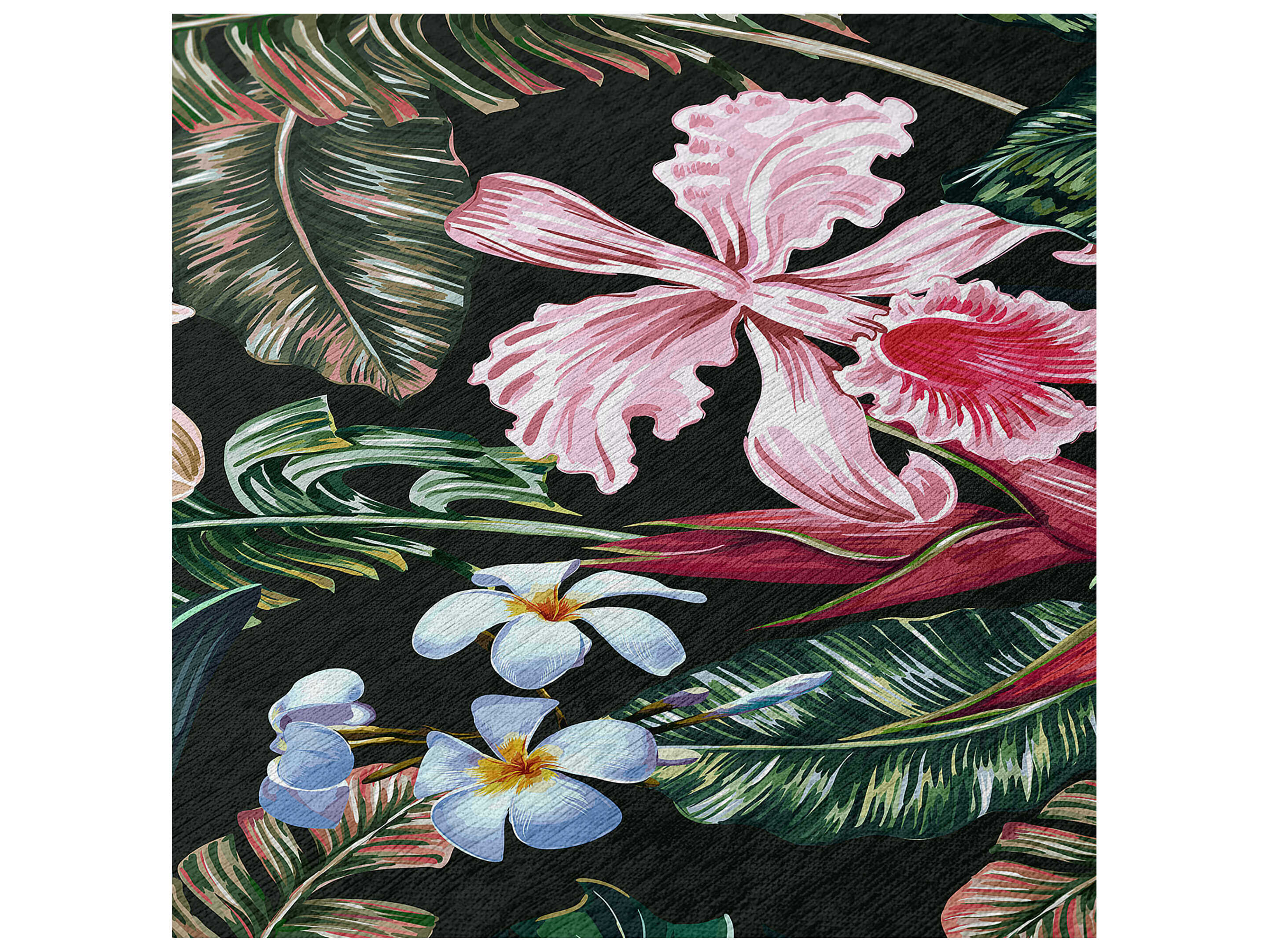 Dalyn Tropics Graphic Area Rug