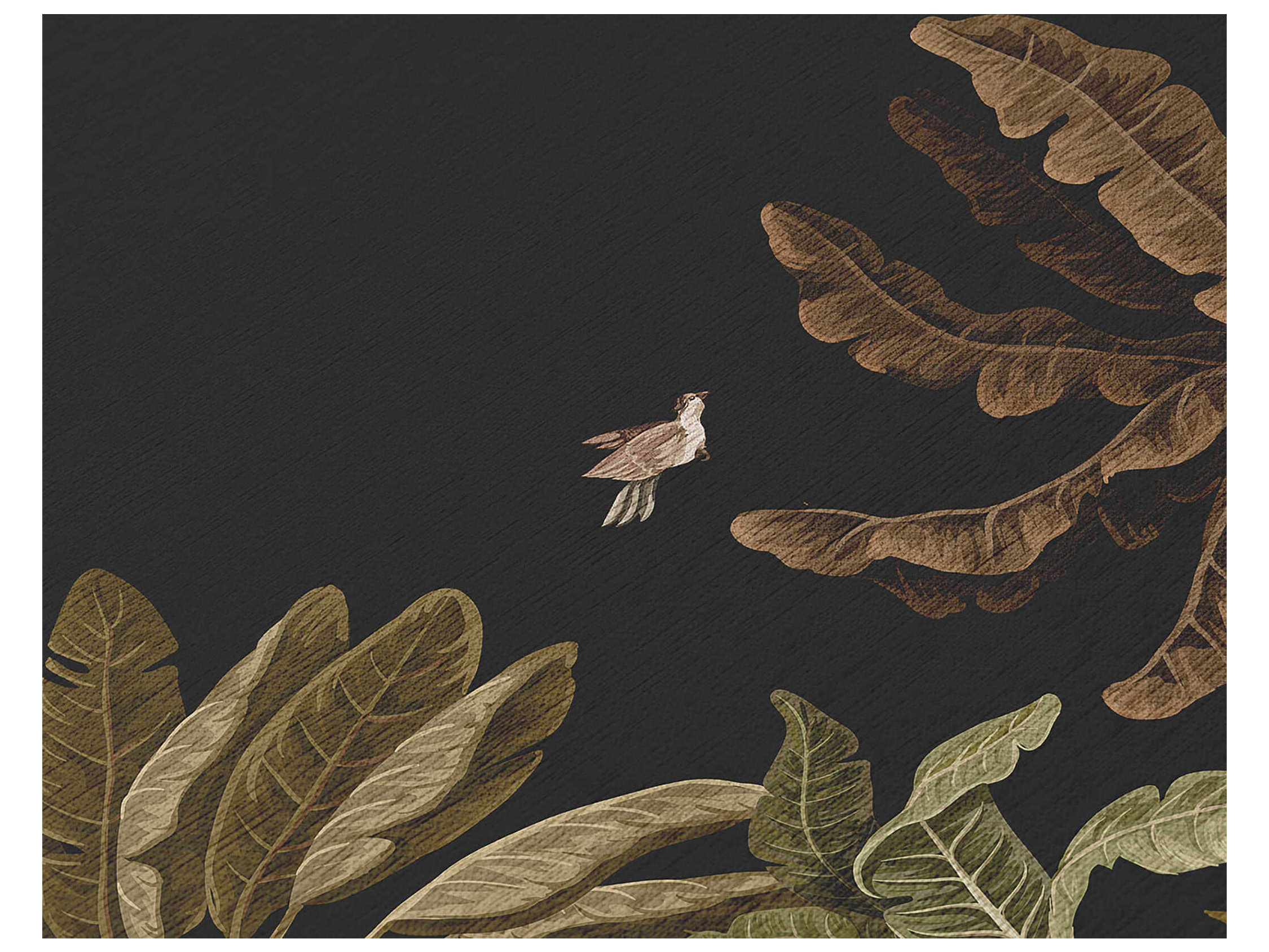 Dalyn Tropics Graphic Area Rug