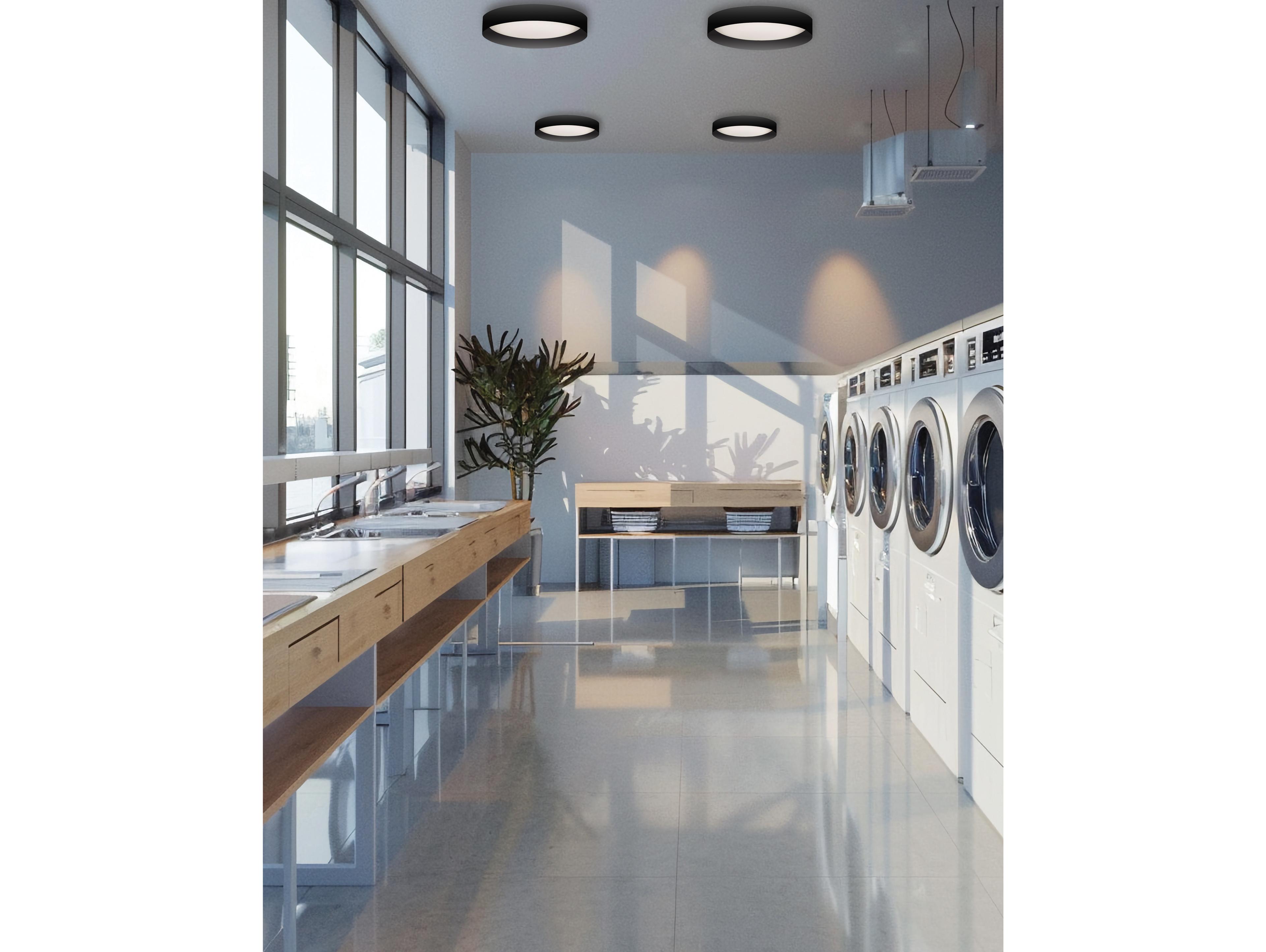 Dainolite Carmen 1-Light Matte Black Round Flush Mount