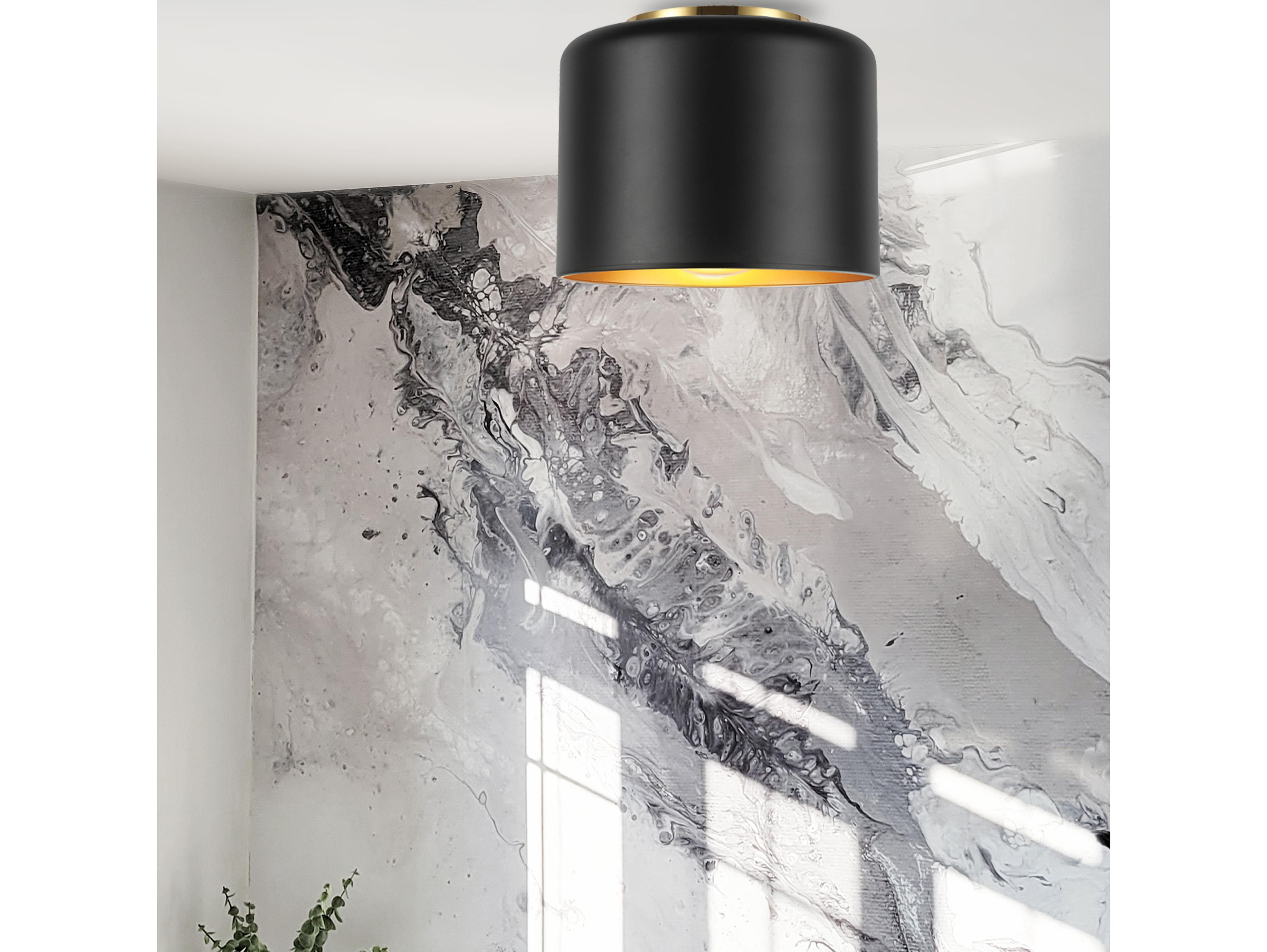 Dainolite Emilia 1-Light Matte Black Aged Brass Dome Flush Mount