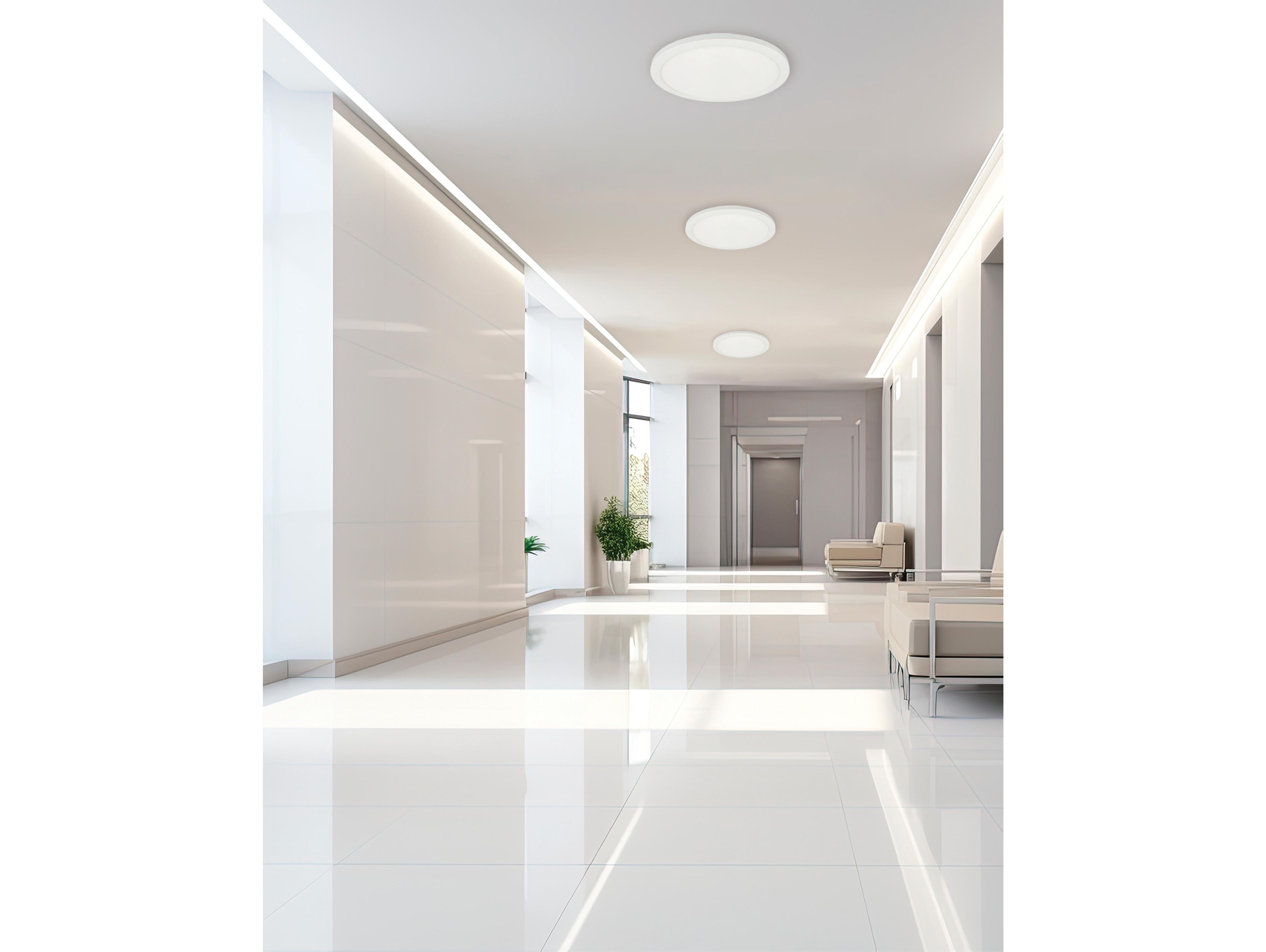 Dainolite Franchesa 1-Light Matte White Round Flush Mount