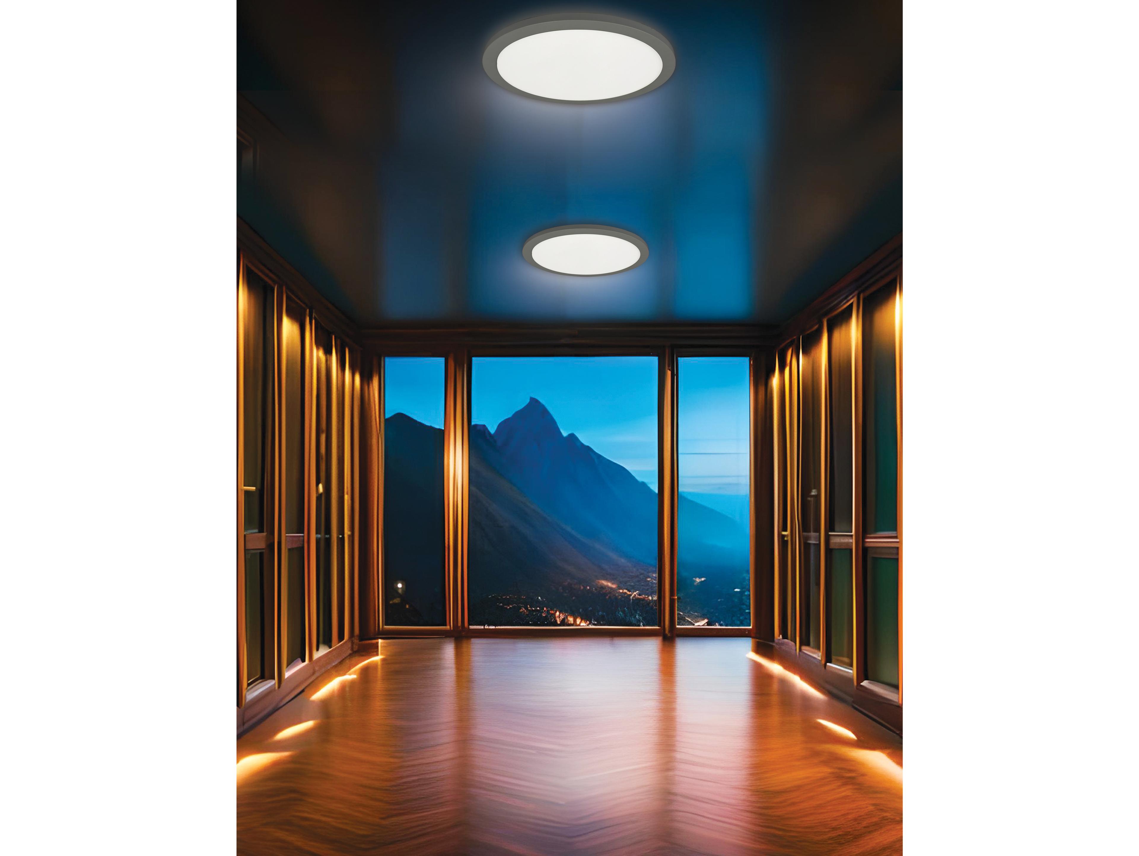 Dainolite Franchesa 1-Light Matte Black Round Flush Mount