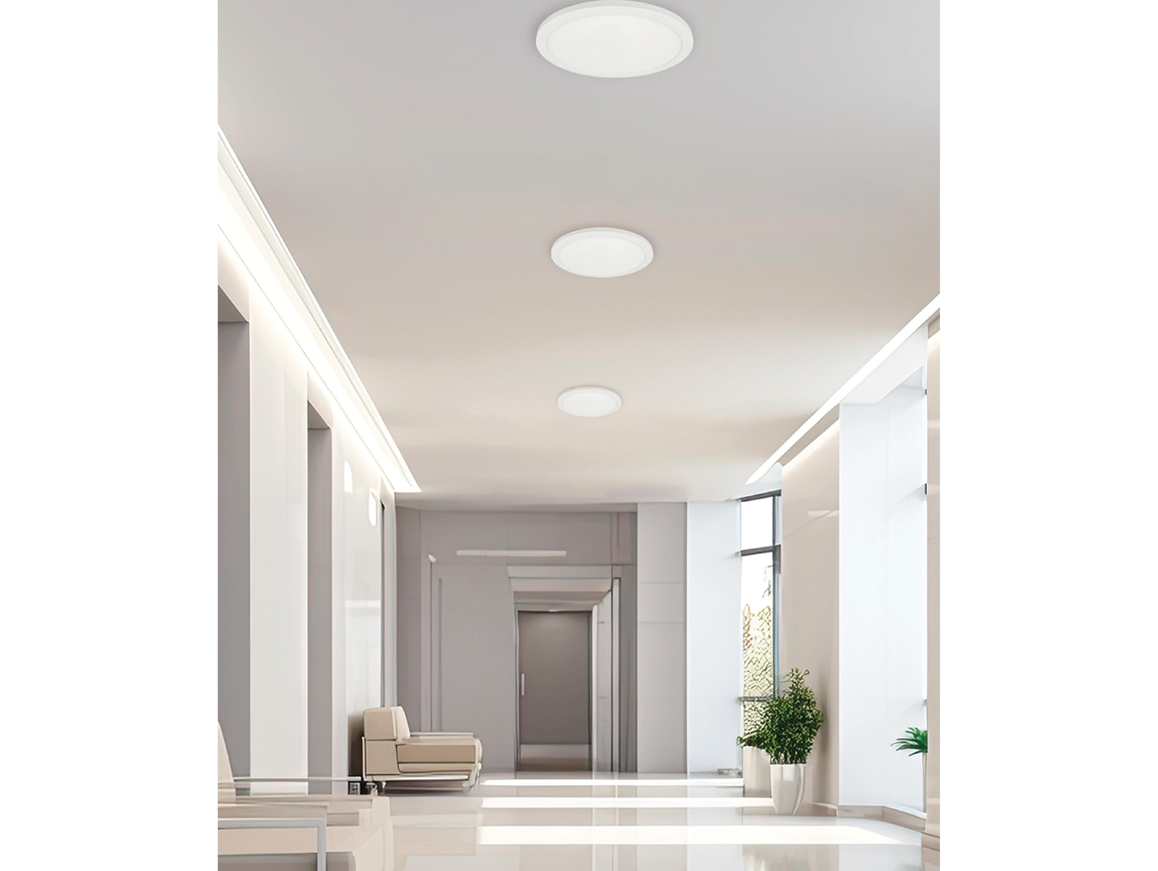 Dainolite Franchesa 1-Light Matte White Round Flush Mount