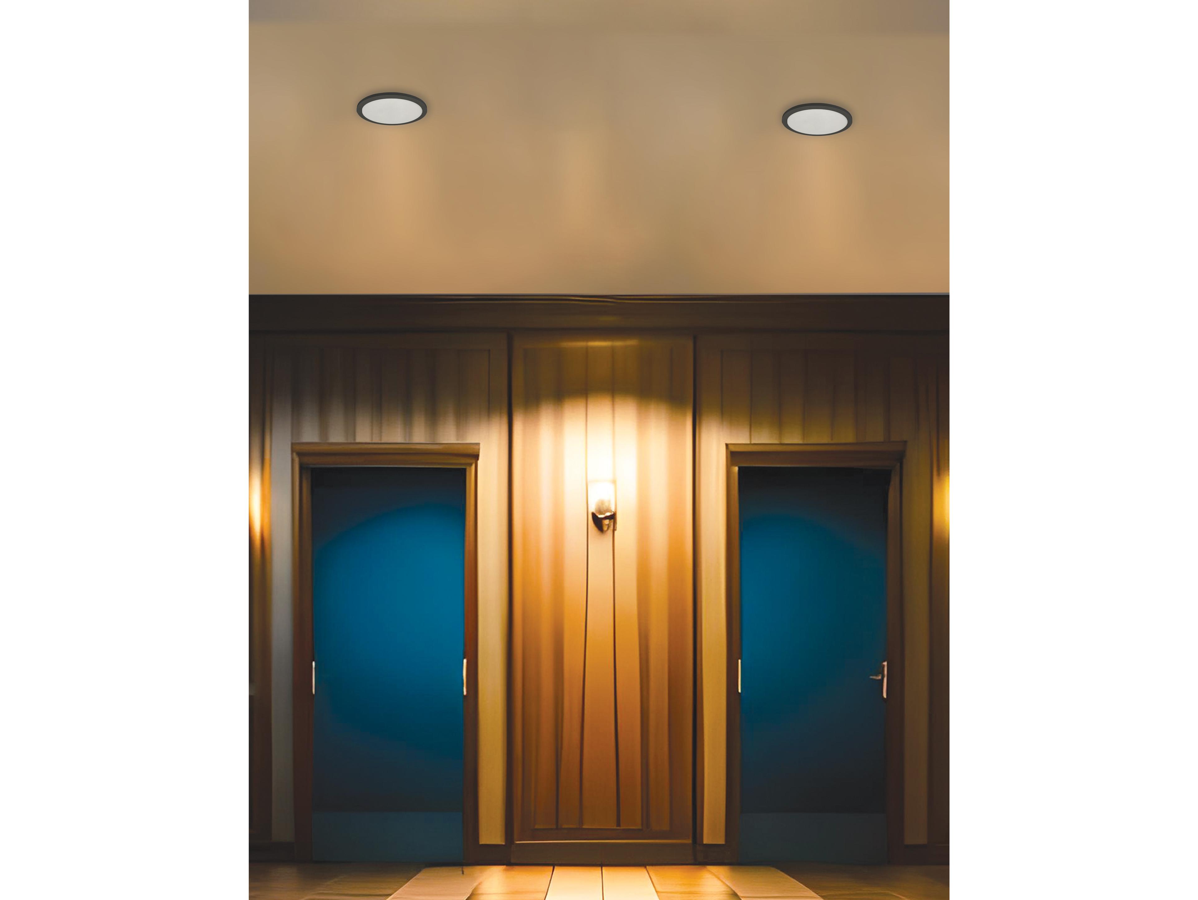 Dainolite Franchesa 1-Light Matte Black Round Flush Mount