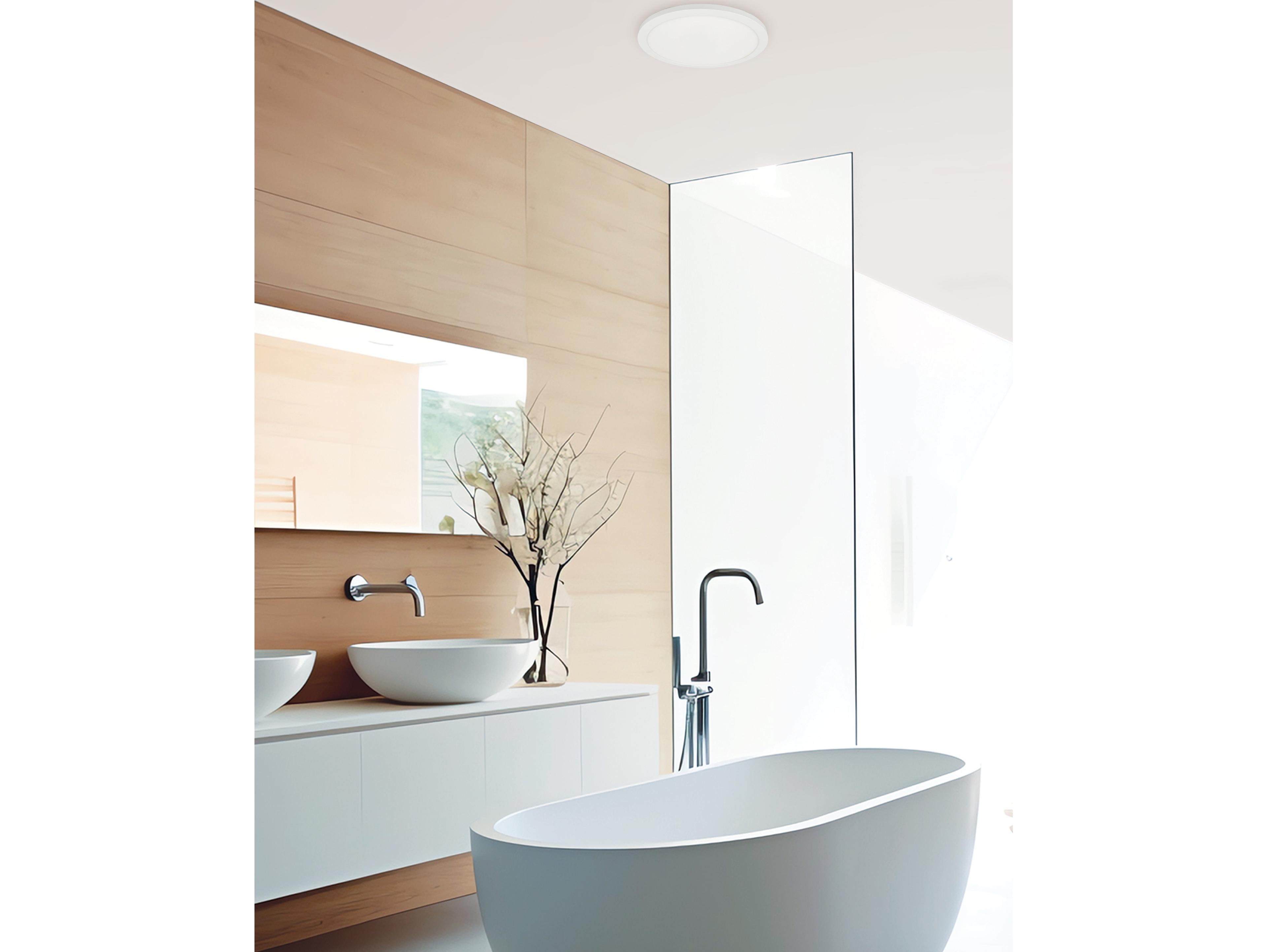 Dainolite Franchesa 1-Light Matte White Round Flush Mount