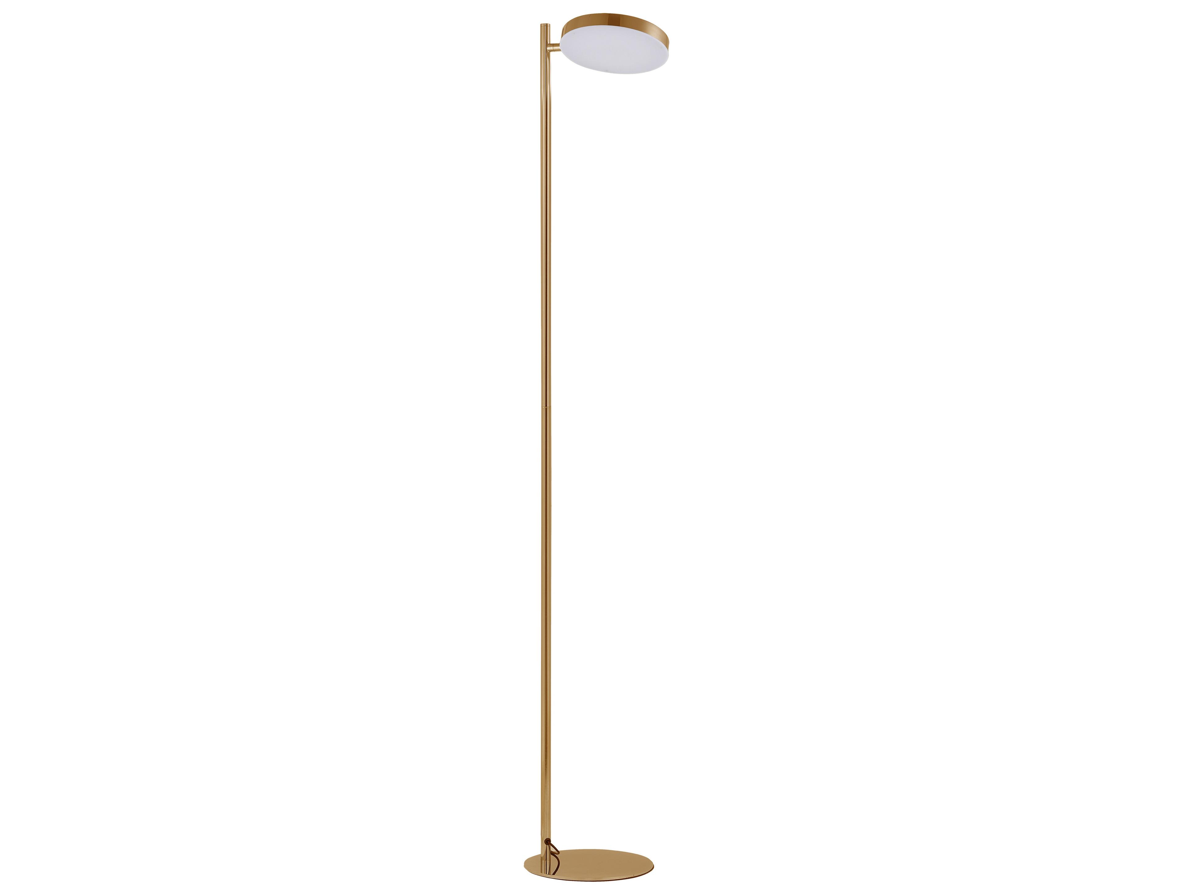 Dainolite Fia Aged Brass White Acrylic Floor Lamp