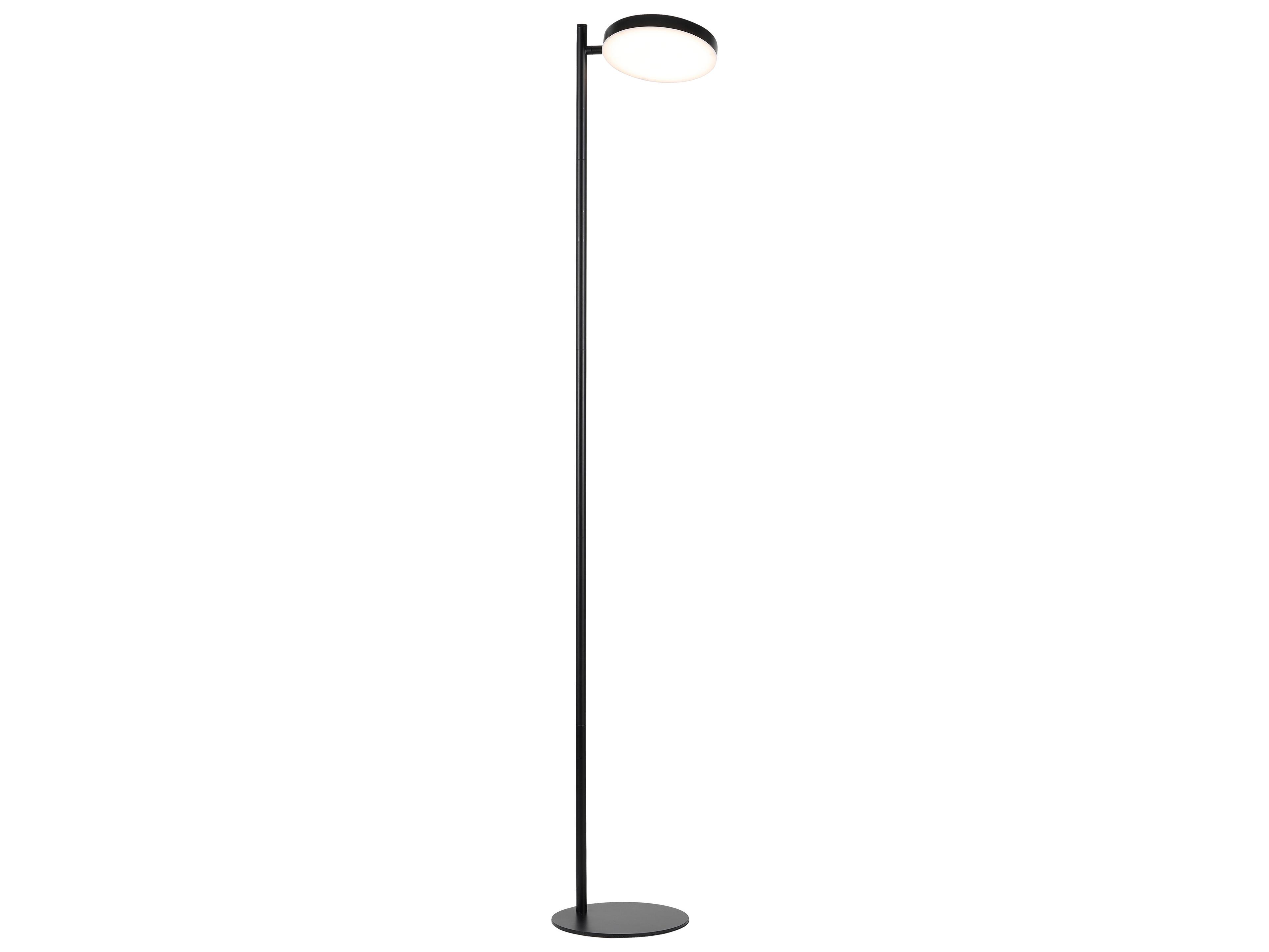 Dainolite Fia Matte Black White Acrylic Floor Lamp