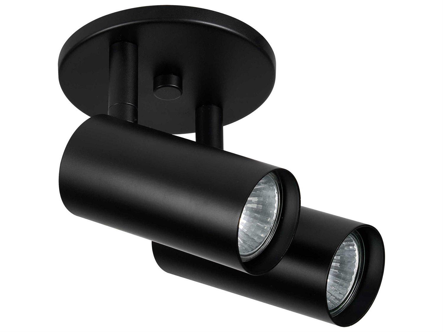 Dainolite Stanly 2-Light Matte Black Cylinder Spot Light