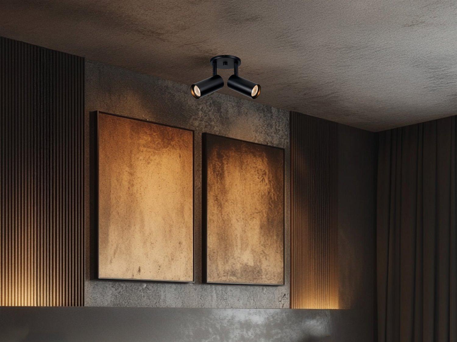 Dainolite Stanly 2-Light Matte Black Cylinder Spot Light