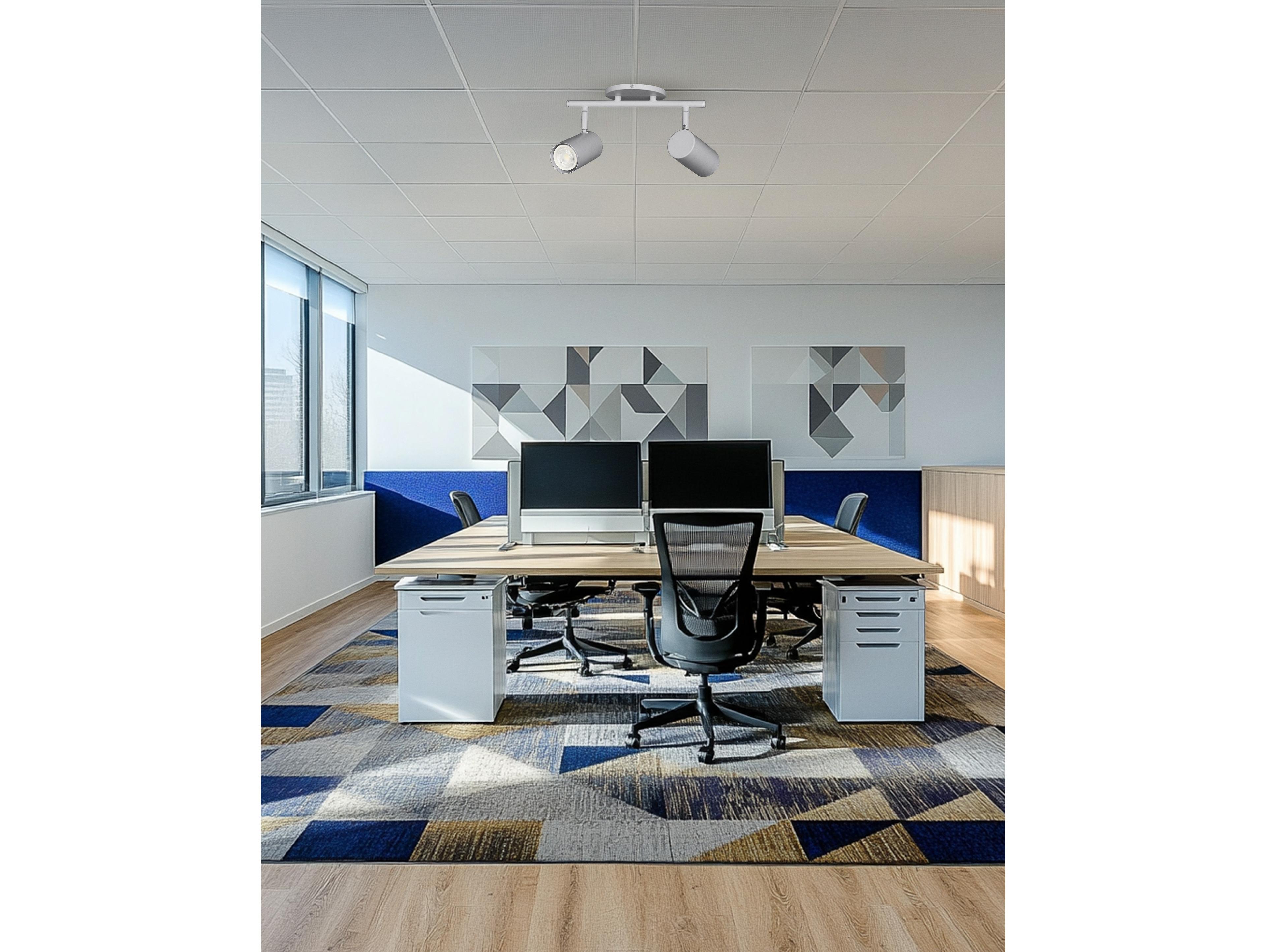 Dainolite Taylor 2-Light Satin Chrome Cylinder Track & Rail Light