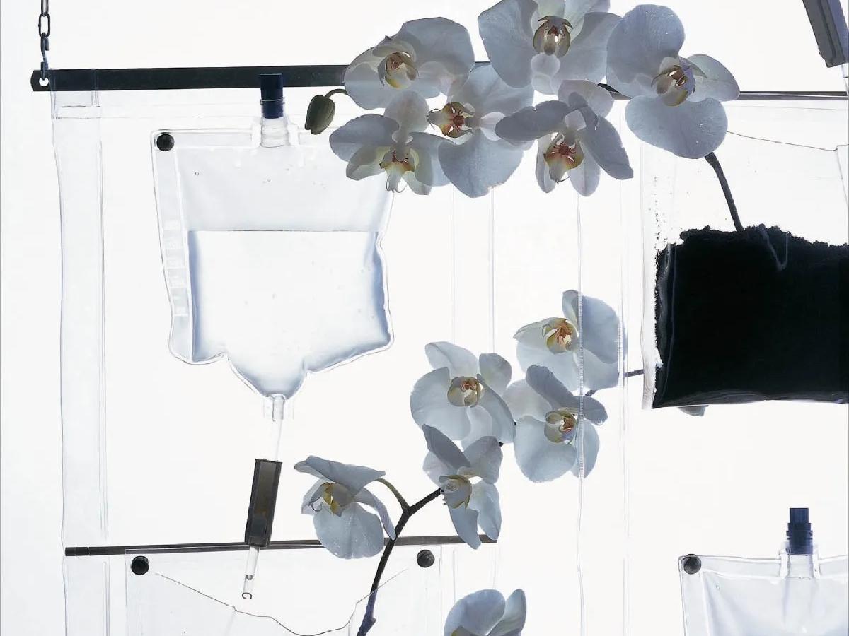 Driade Erbale PVC Plant Holder