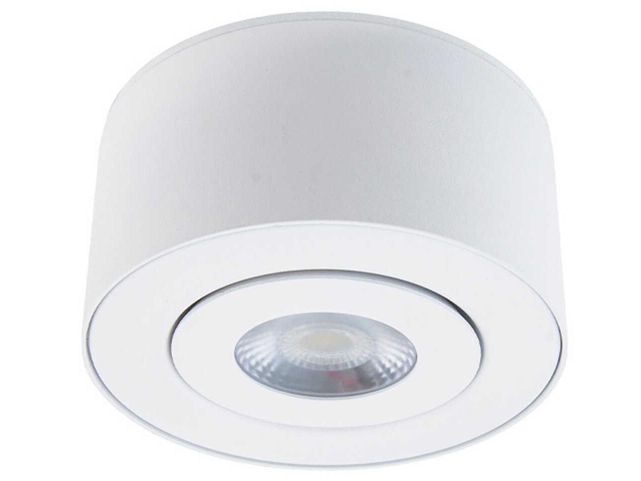 dweLED by WAC Lighting Peek 1 - Light Outdoor Ceiling Light