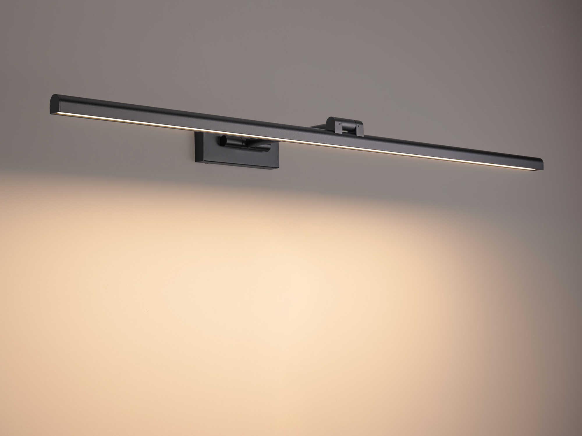 dweLED by WAC Lighting Reed 1-Light Black LED Picture Light