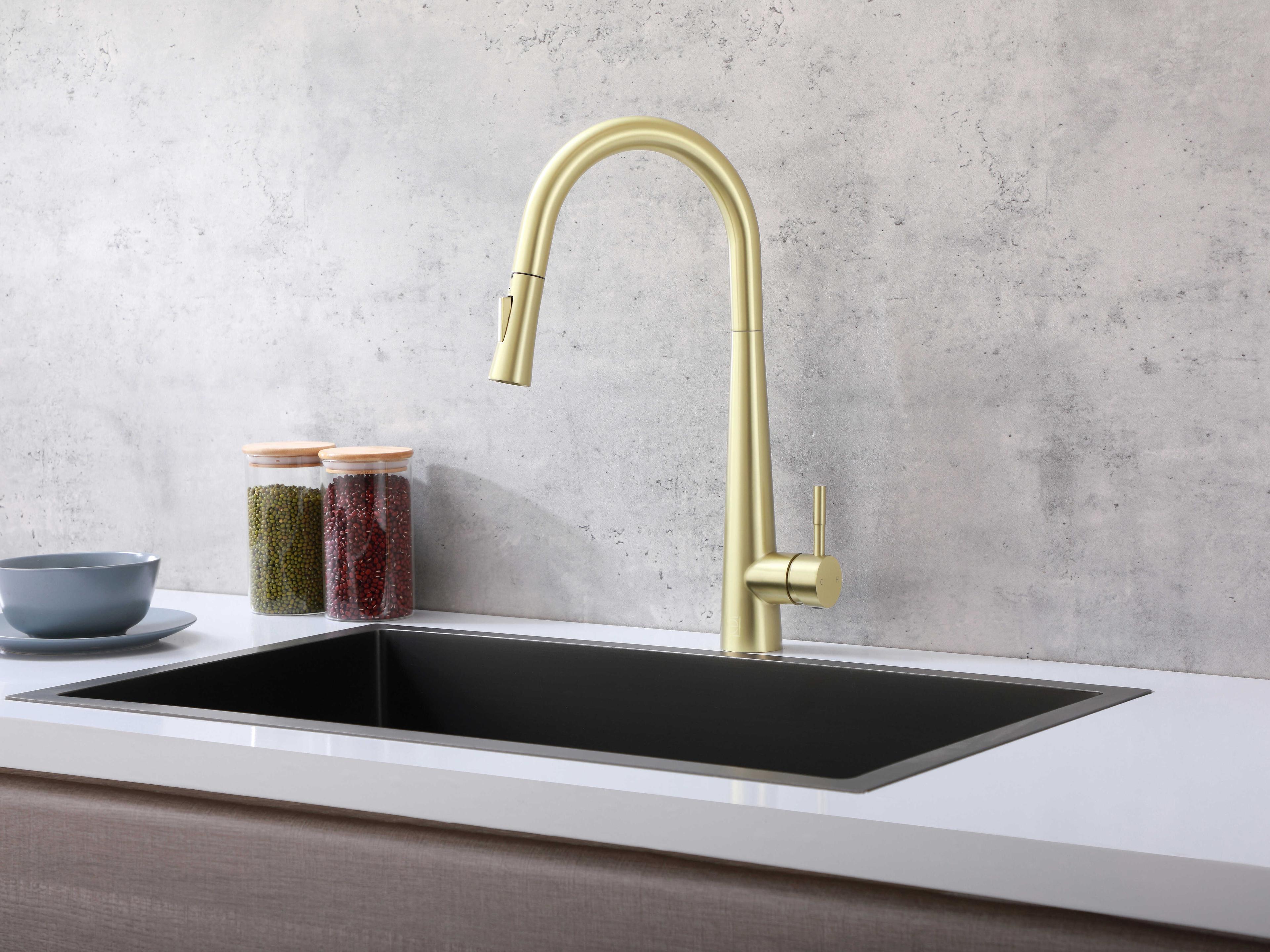 Elegant Lighting Lucas Brushed Gold Pull Down Sprayer Kitchen Faucet