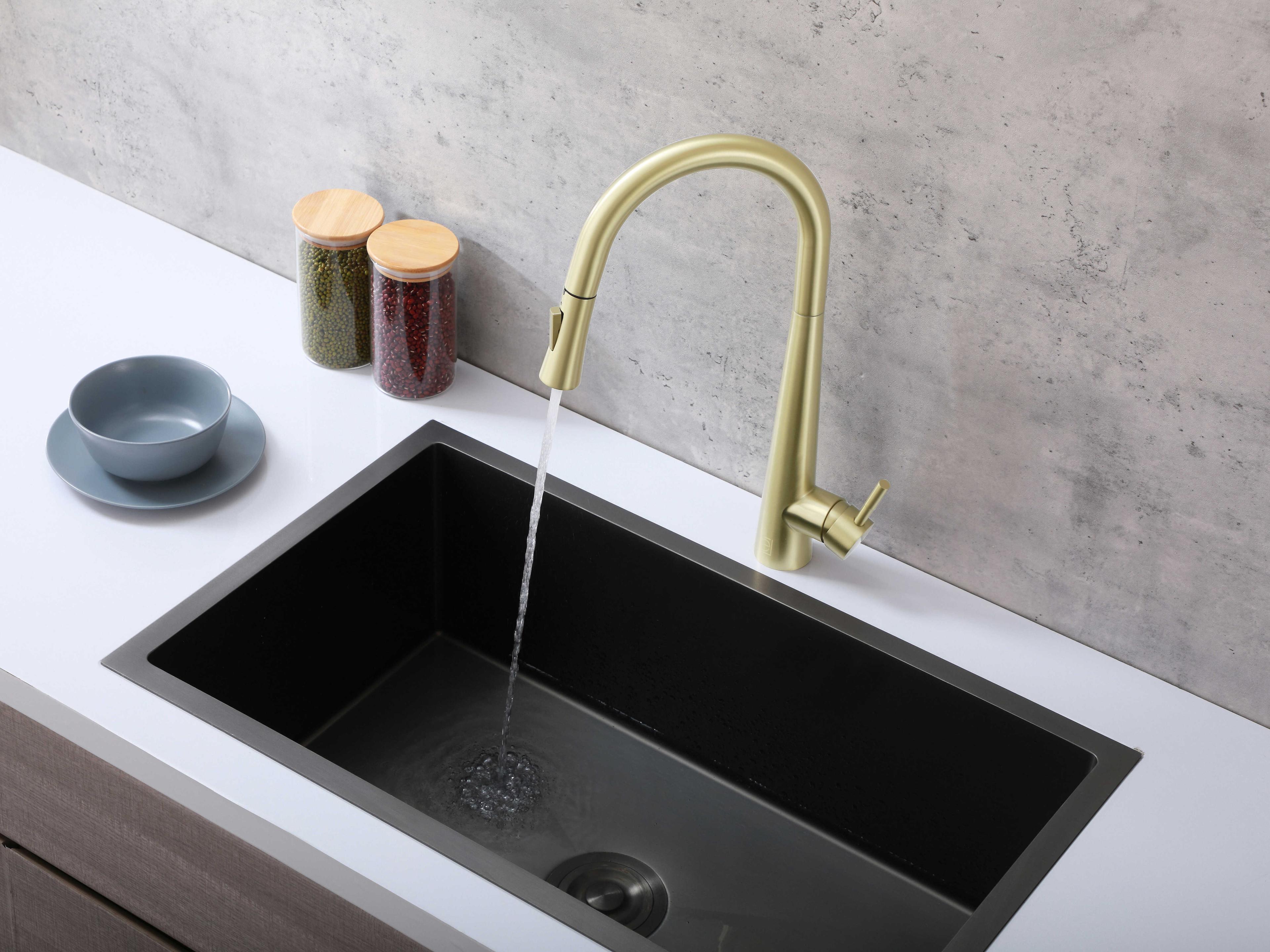 Elegant Lighting Lucas Brushed Gold Pull Down Sprayer Kitchen Faucet